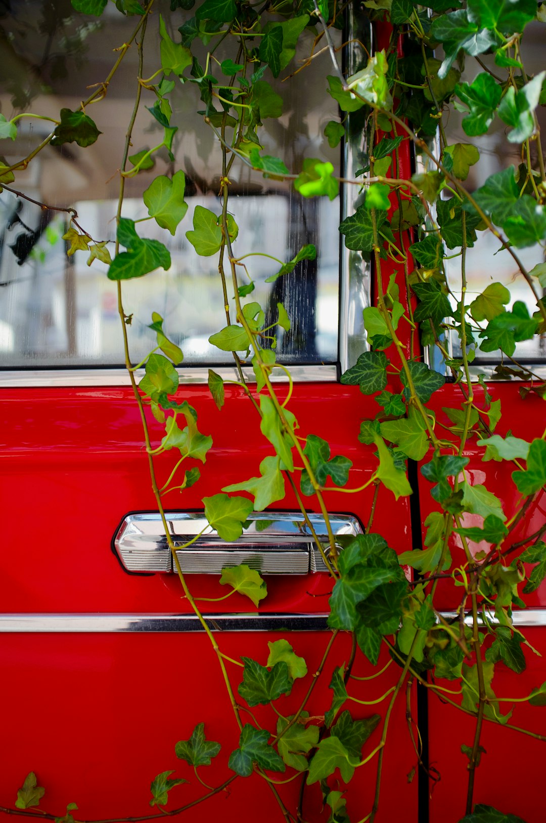 red car parked beside green plants