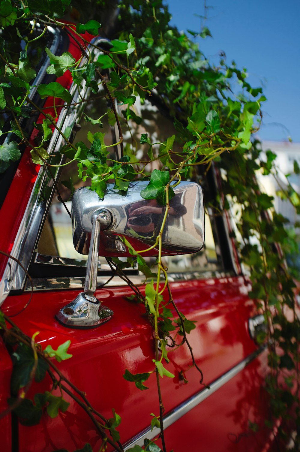 red car with green plant in front