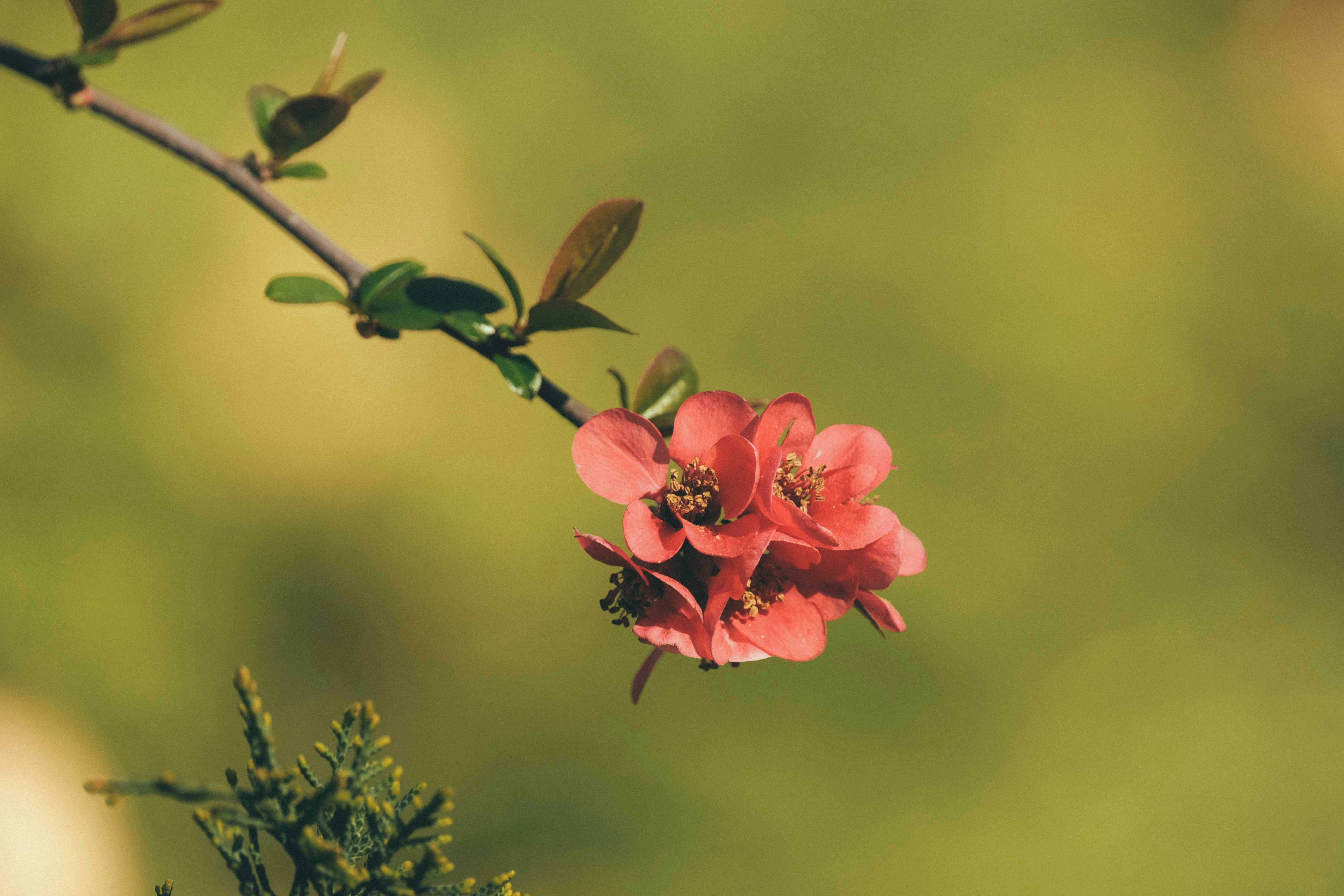 Photo by francesco_ungaro