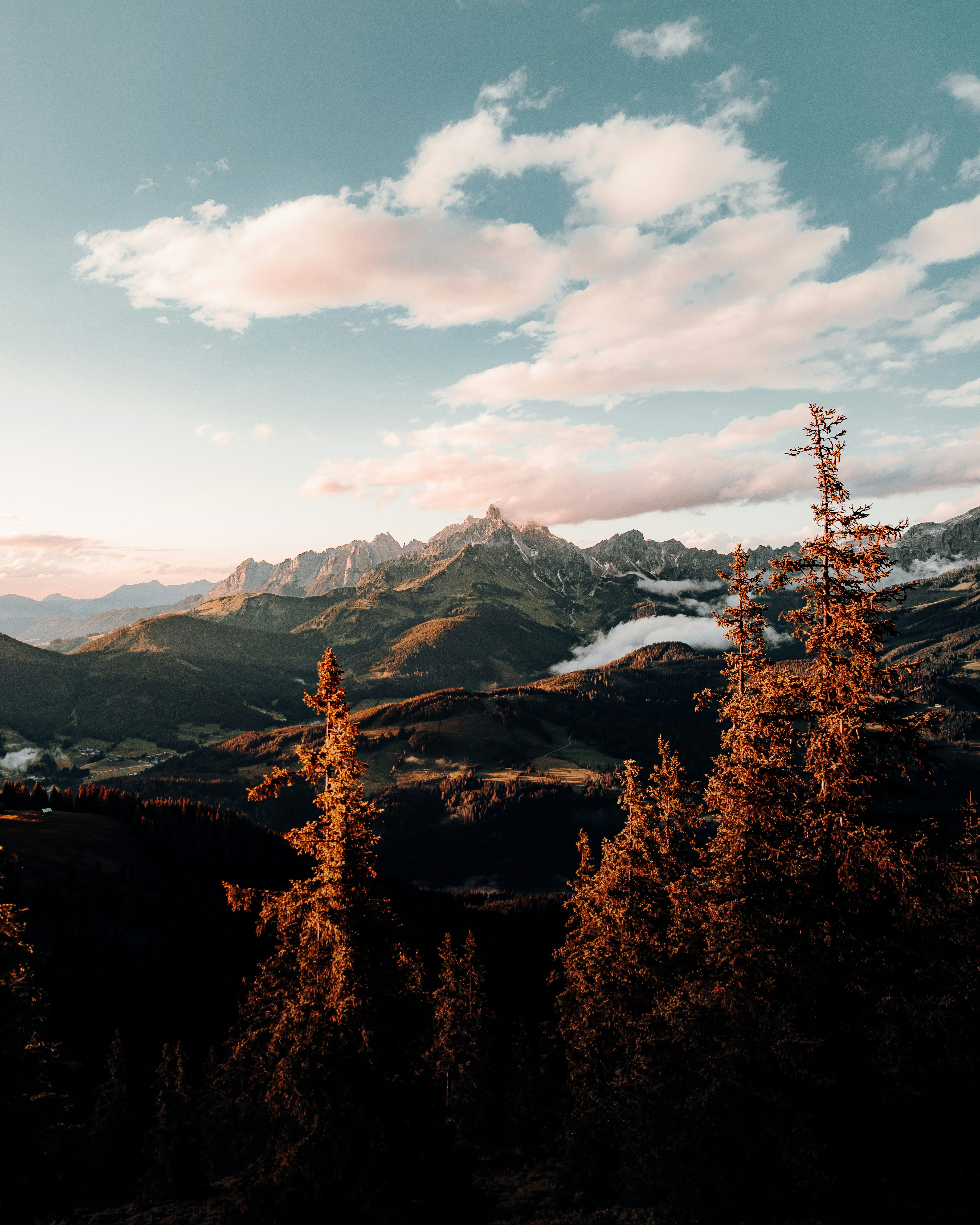 Photo by danieljschwarz