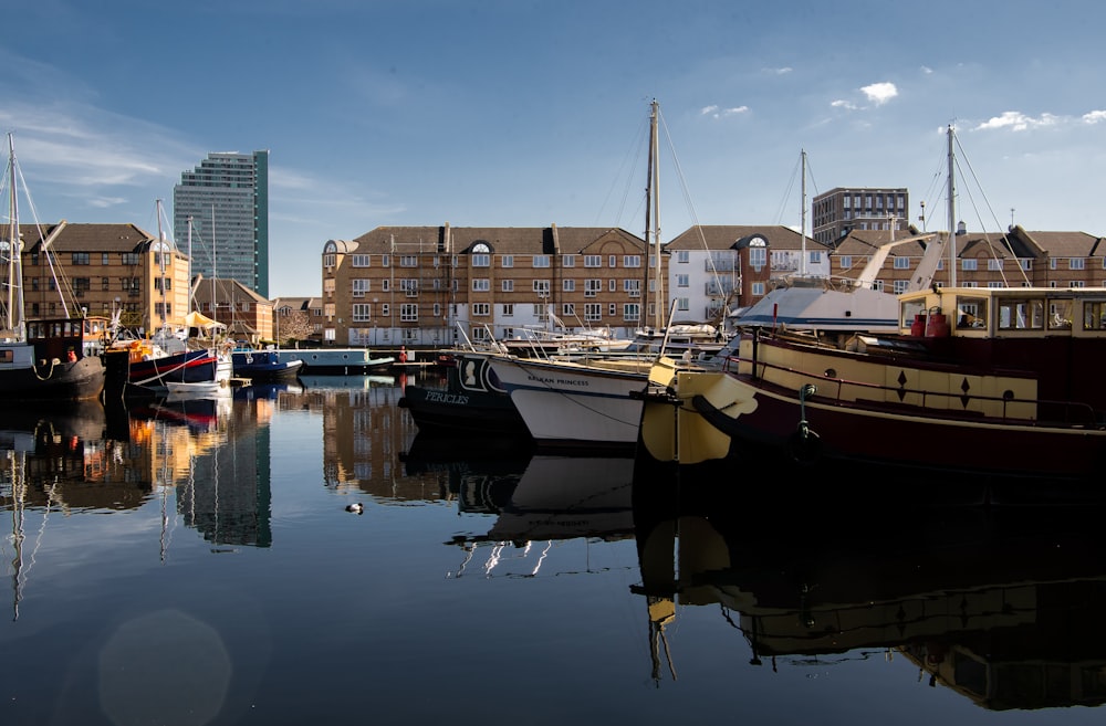 white and brown boat on water near city buildings during daytime