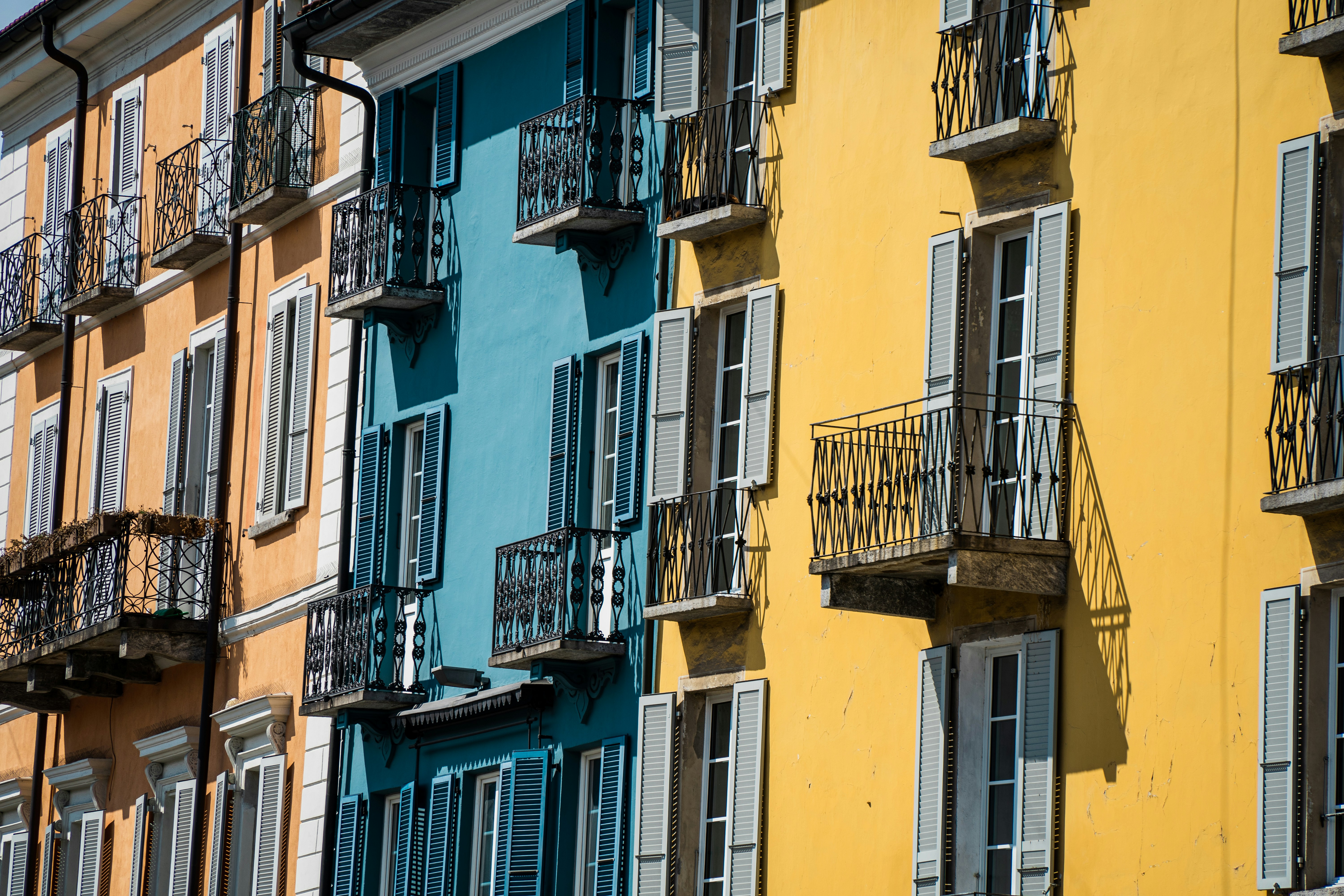 Photo by damienschnorhk