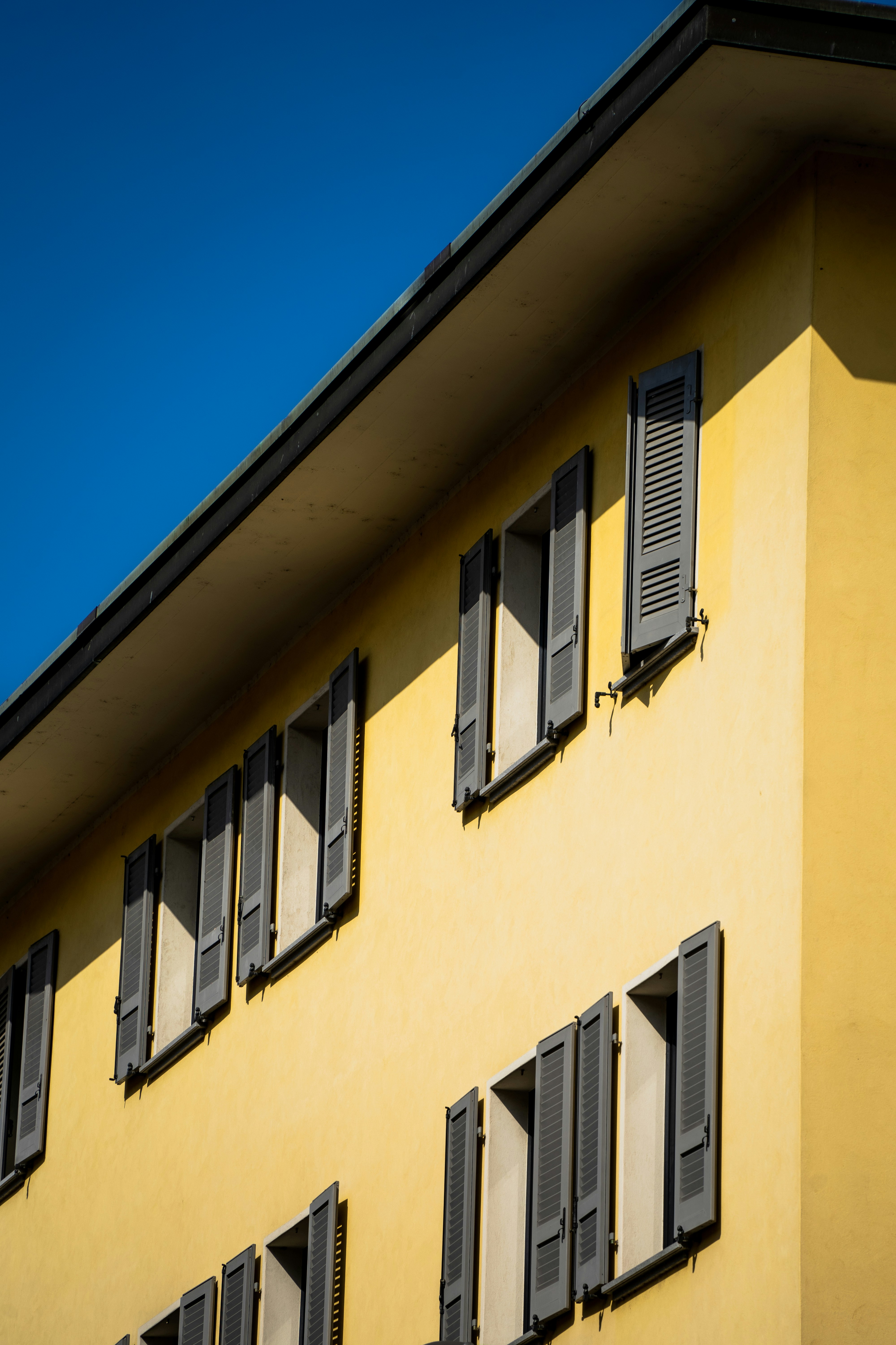 Photo by damienschnorhk