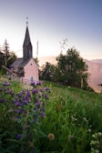 A quaint church with a tall spire nestled among lush greenery and wildflowers. The building has a soft pink hue, and a mix of purple and pink wildflowers are prominent in the foreground. Trees surround the church, with mountains visible in the distance under a clear sky.