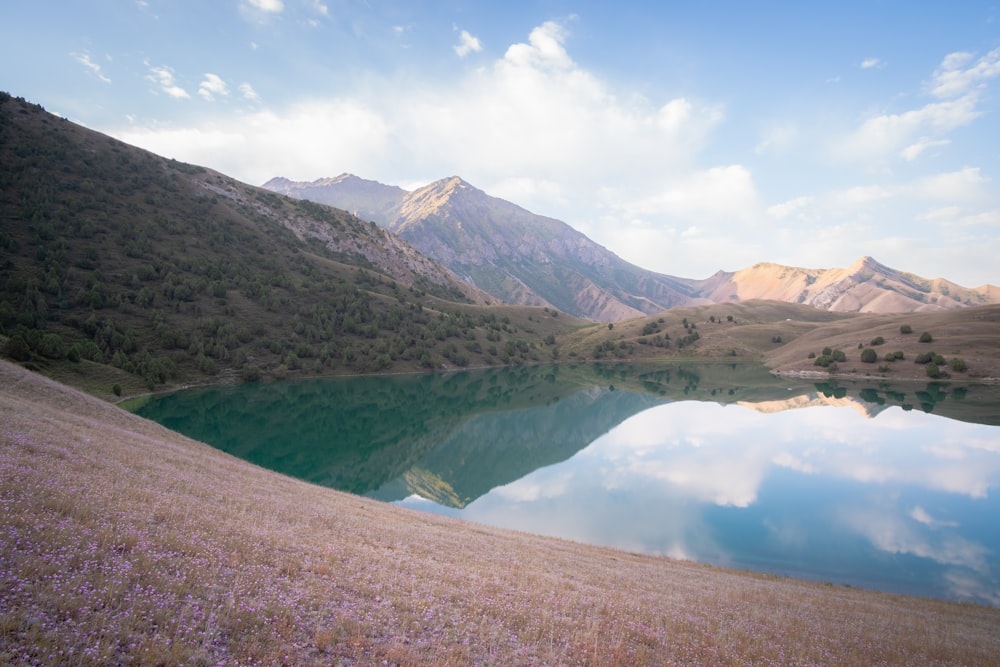 Un lago in mezzo a un campo con le montagne sullo sfondo