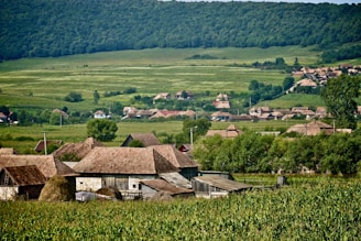 A rural landscape featuring a small village with several wooden houses surrounded by lush greenery. Rolling hills in the background create a serene and peaceful setting. The vegetation includes a field of crops in the foreground and dense forest in the distance.