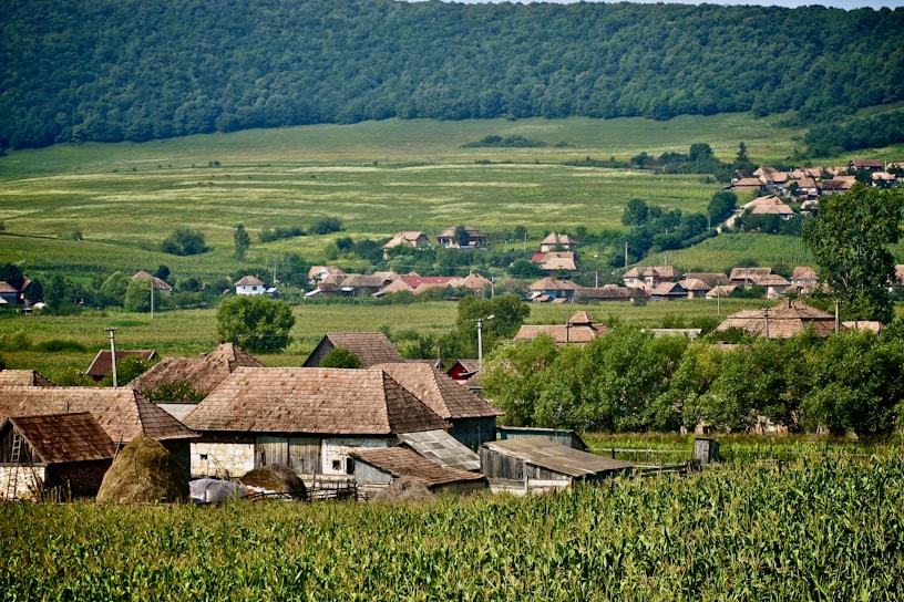 A rural landscape featuring a small village with several wooden houses surrounded by lush greenery. Rolling hills in the background create a serene and peaceful setting. The vegetation includes a field of crops in the foreground and dense forest in the distance.