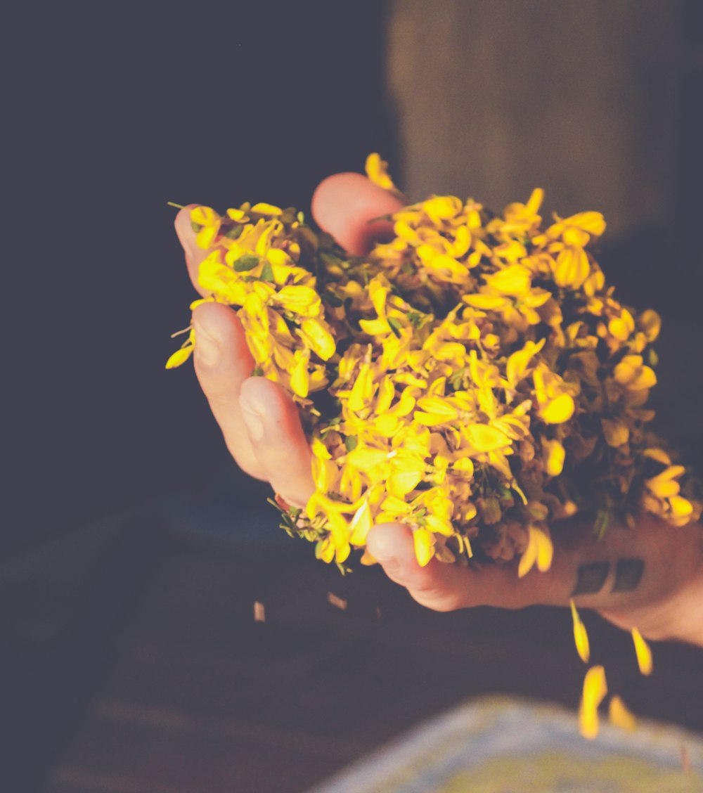 yellow flower in tilt shift lens