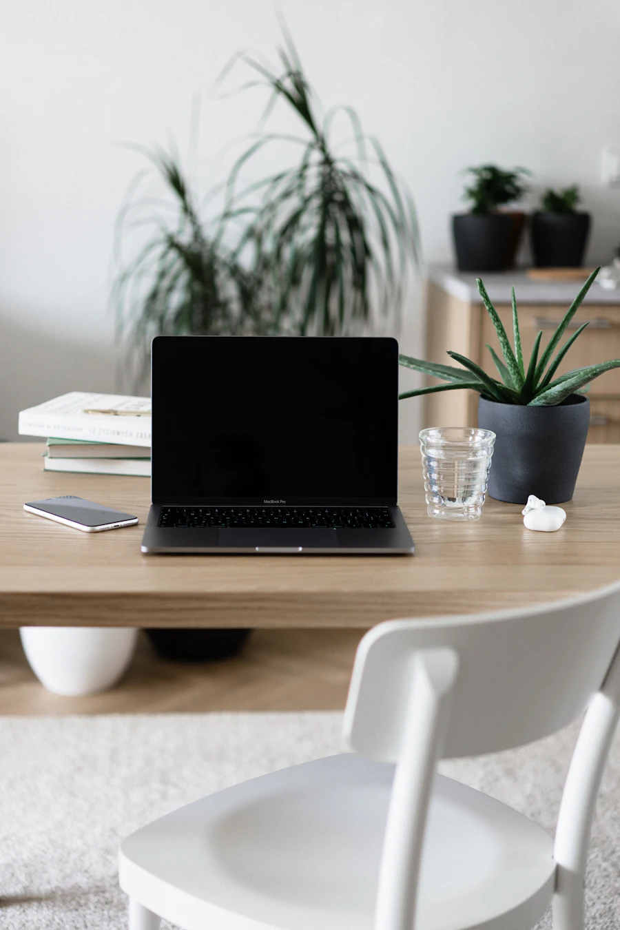 A laptop on a desk beside houseplants