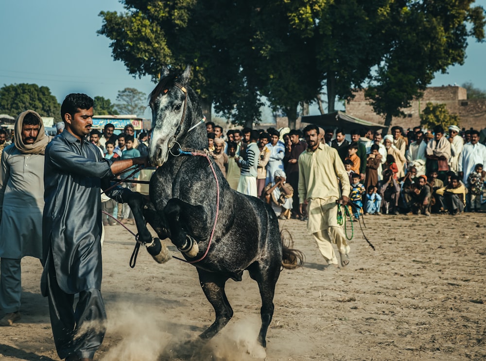 people riding horses on brown sand during daytime