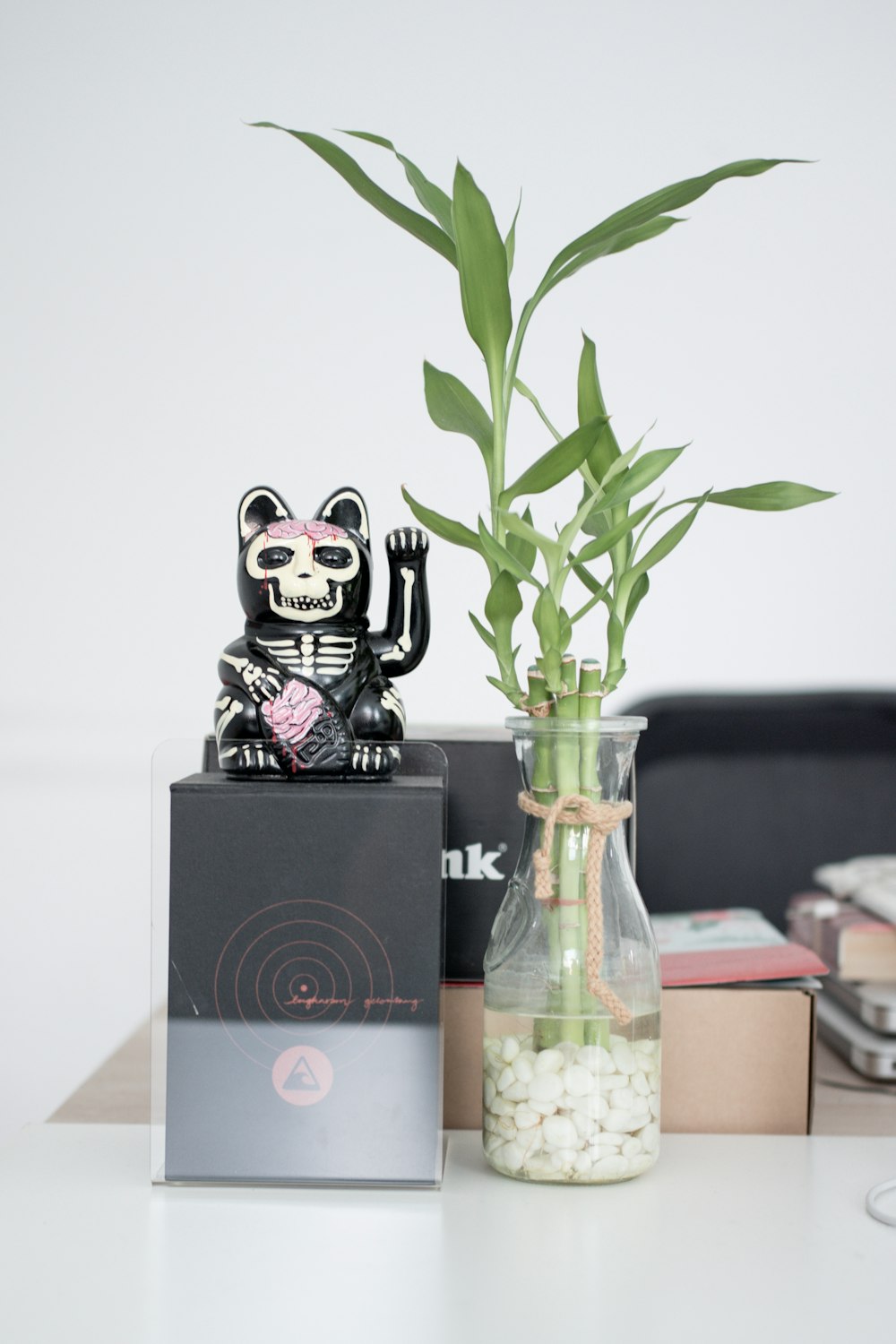 black and white box beside green plant in clear glass vase