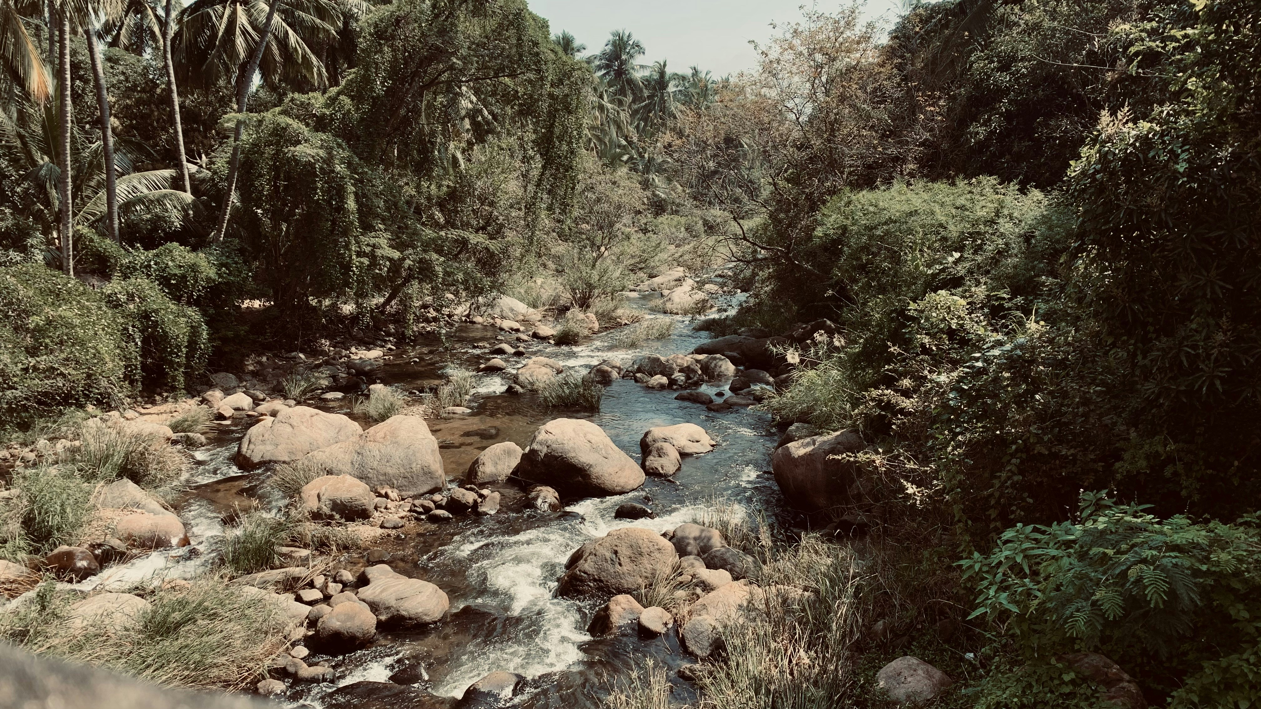 Photo by venkatesantyson