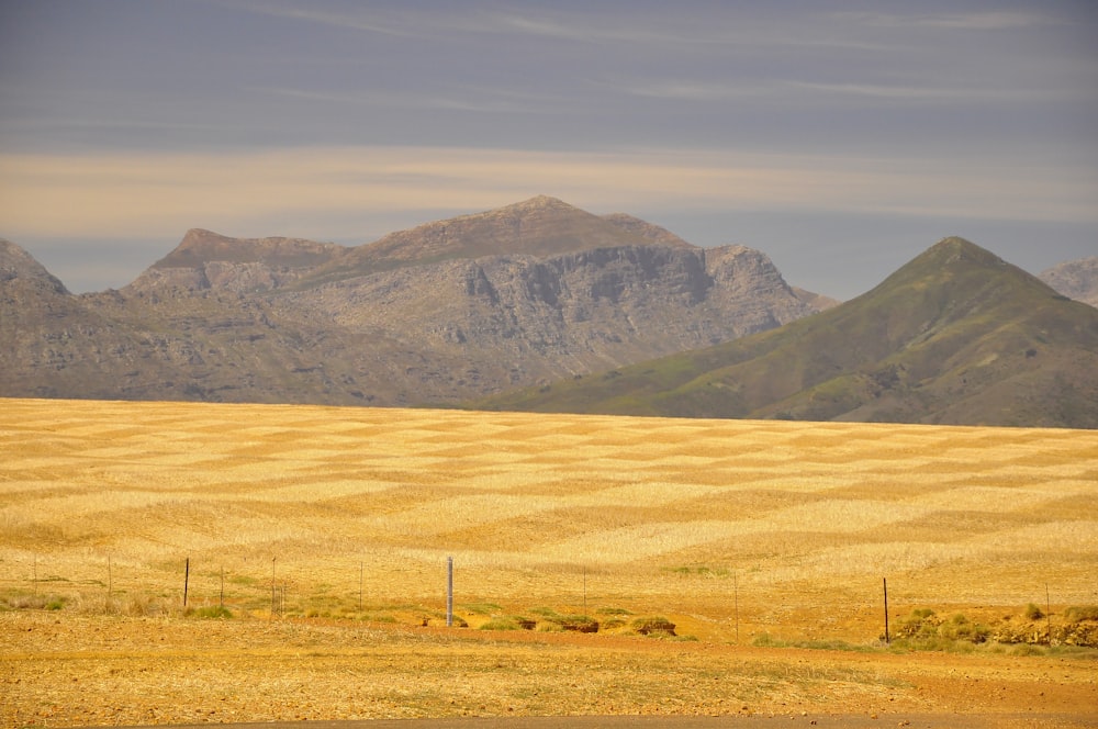 campo di erba marrone vicino alla montagna durante il giorno