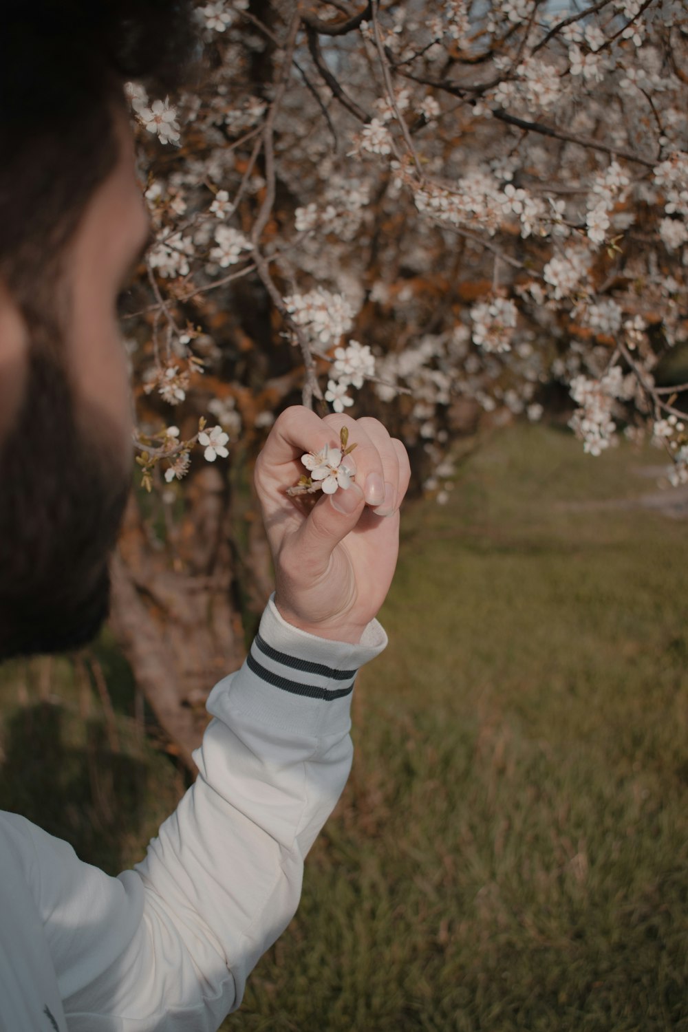 person in white long sleeve shirt holding pink flower