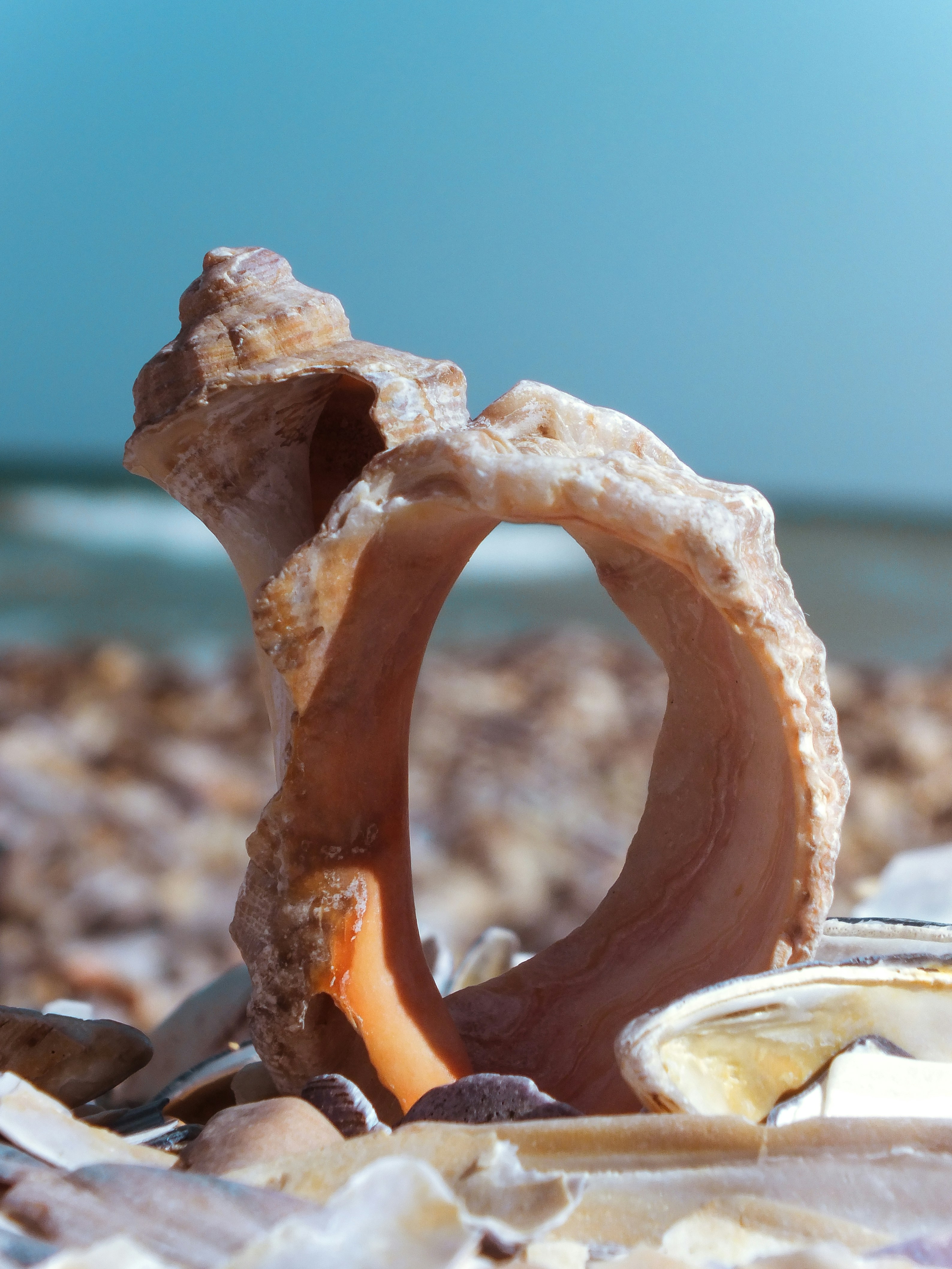 brown and white stone near body of water during daytime