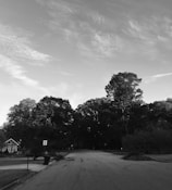 Monochrome image of a cozy suburban house with a neat garden.