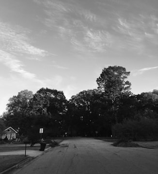 Monochrome image of a cozy suburban house with a neat garden.