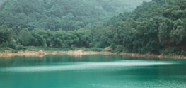 A serene lake surrounded by lush greenery in Sikkim.