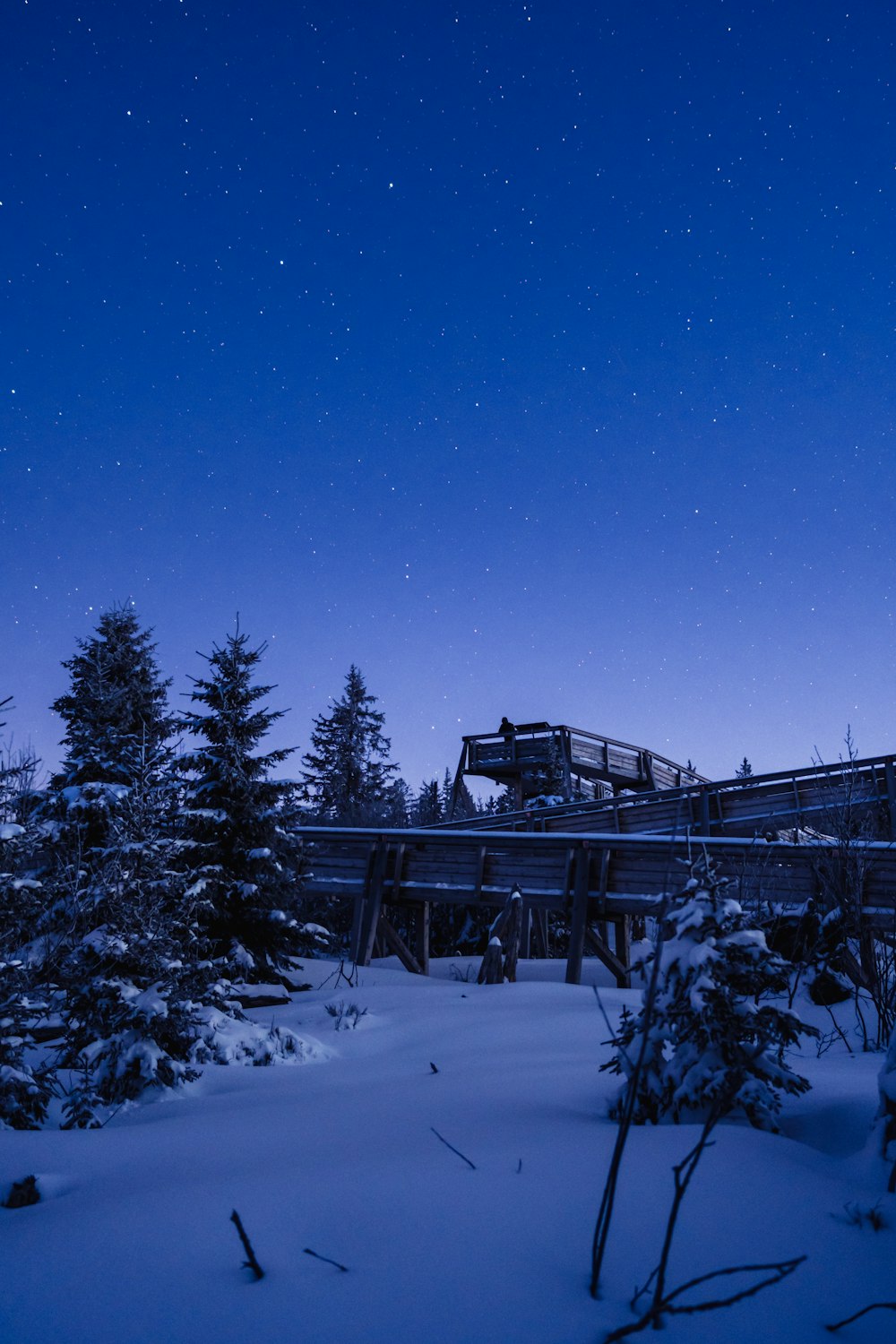 brown wooden house surrounded by trees covered with snow during daytime