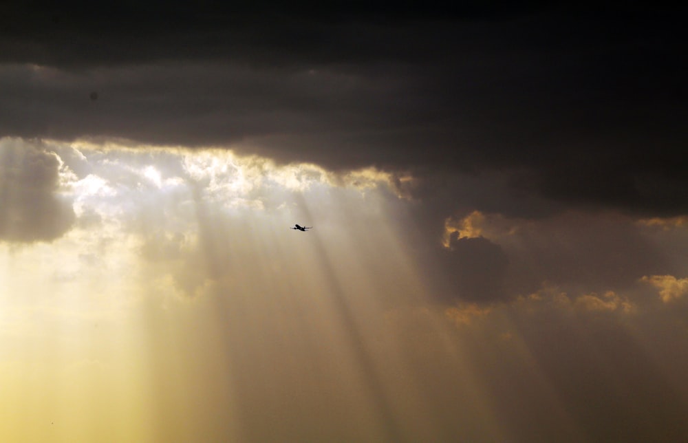 airplane flying over the clouds during daytime