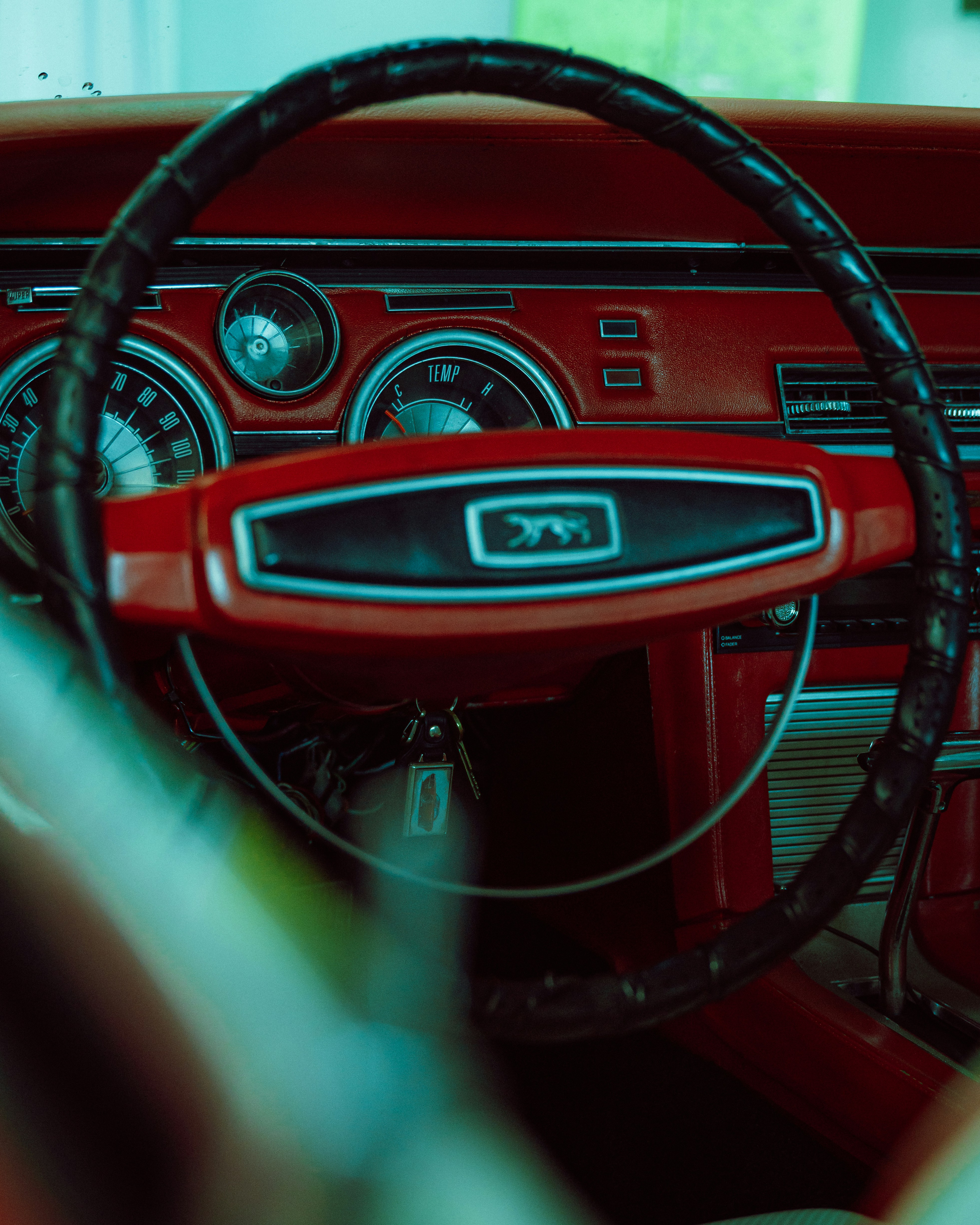 Photo by alenkajtezovic