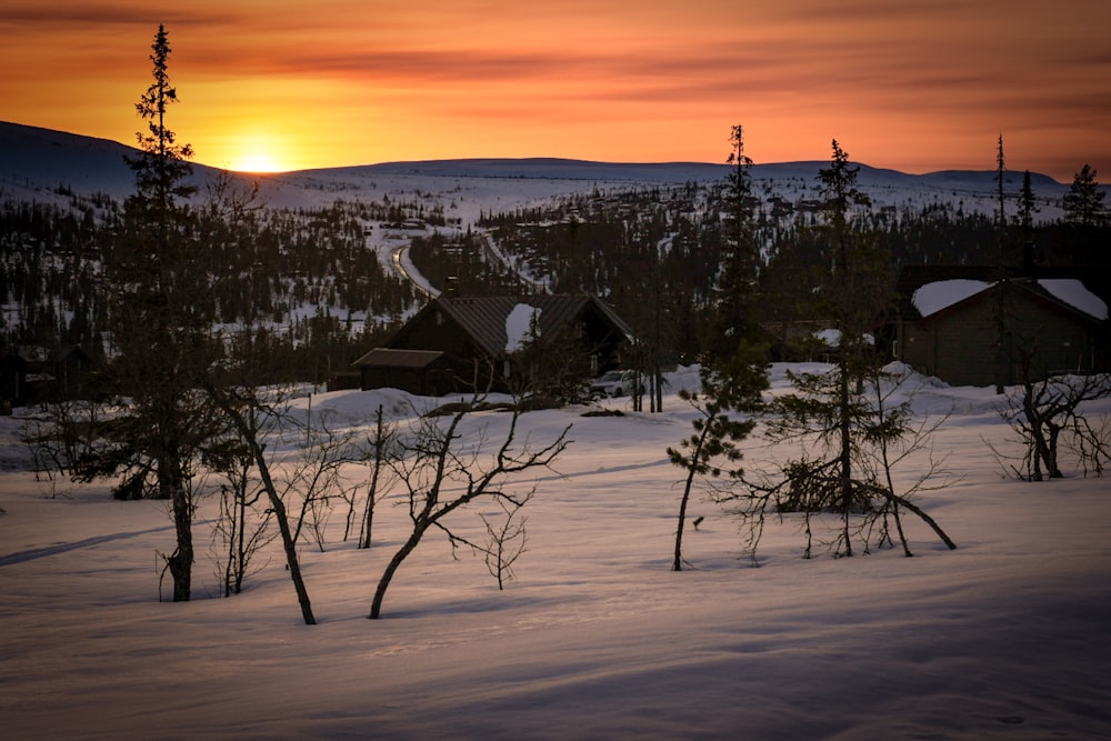 snow covered house near trees during sunset