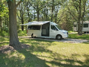 A white recreational vehicle is parked on a grassy area surrounded by a forest of tall trees. The vehicle has its side canopy extended, providing shade. Sunlight filters through the leaves, creating a dappled pattern on the ground.