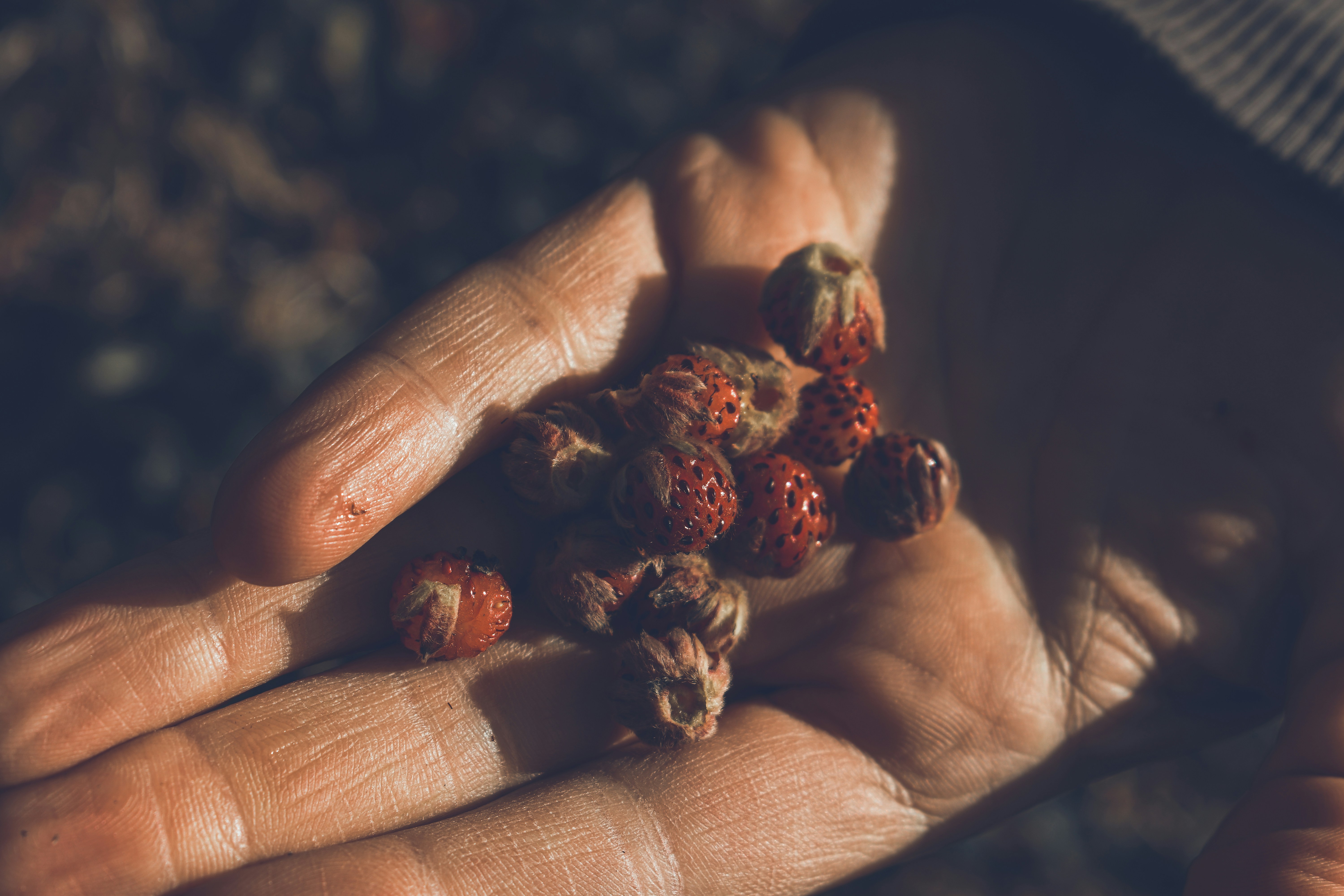 Photo by williamsiann