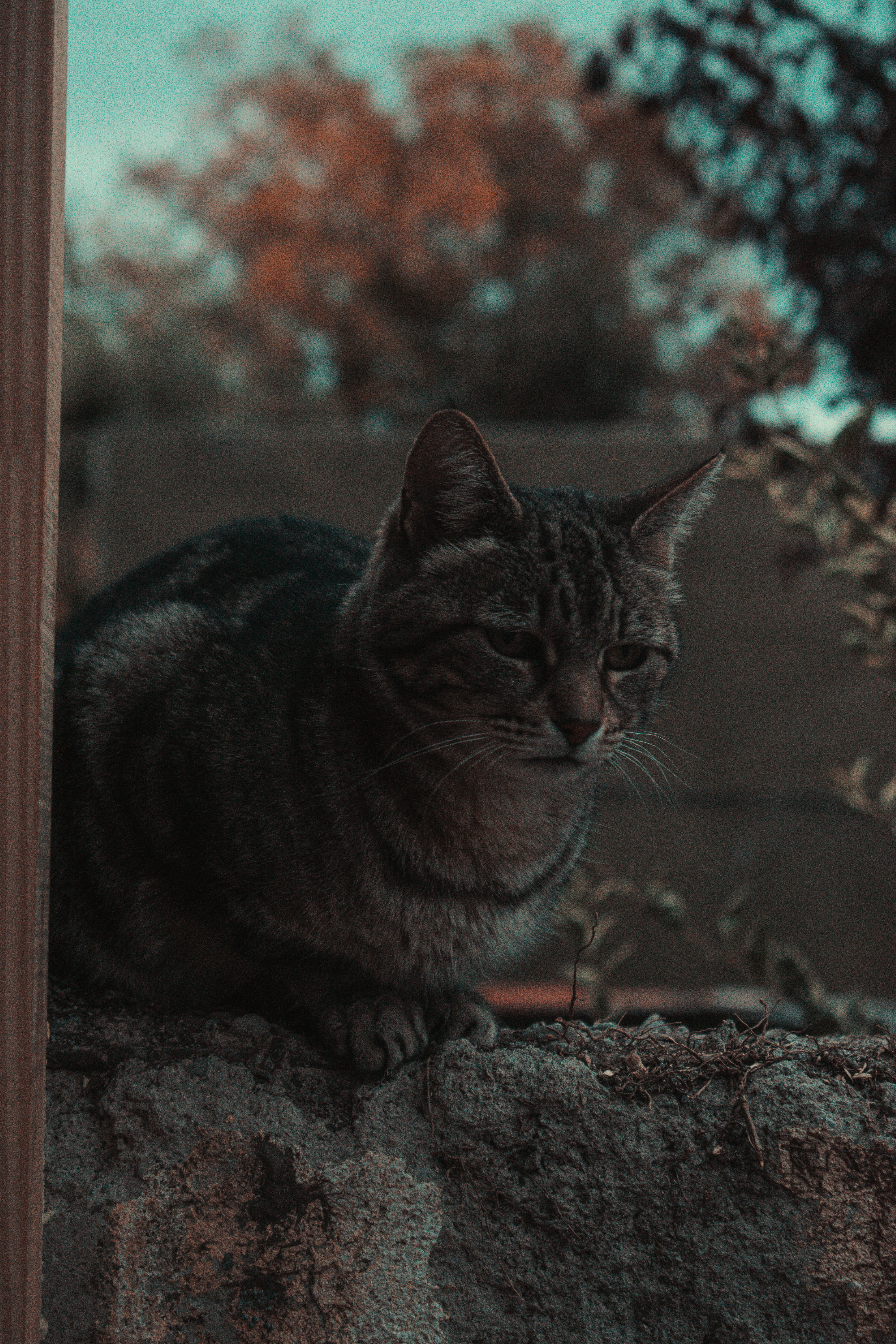 Photo by williamsiann