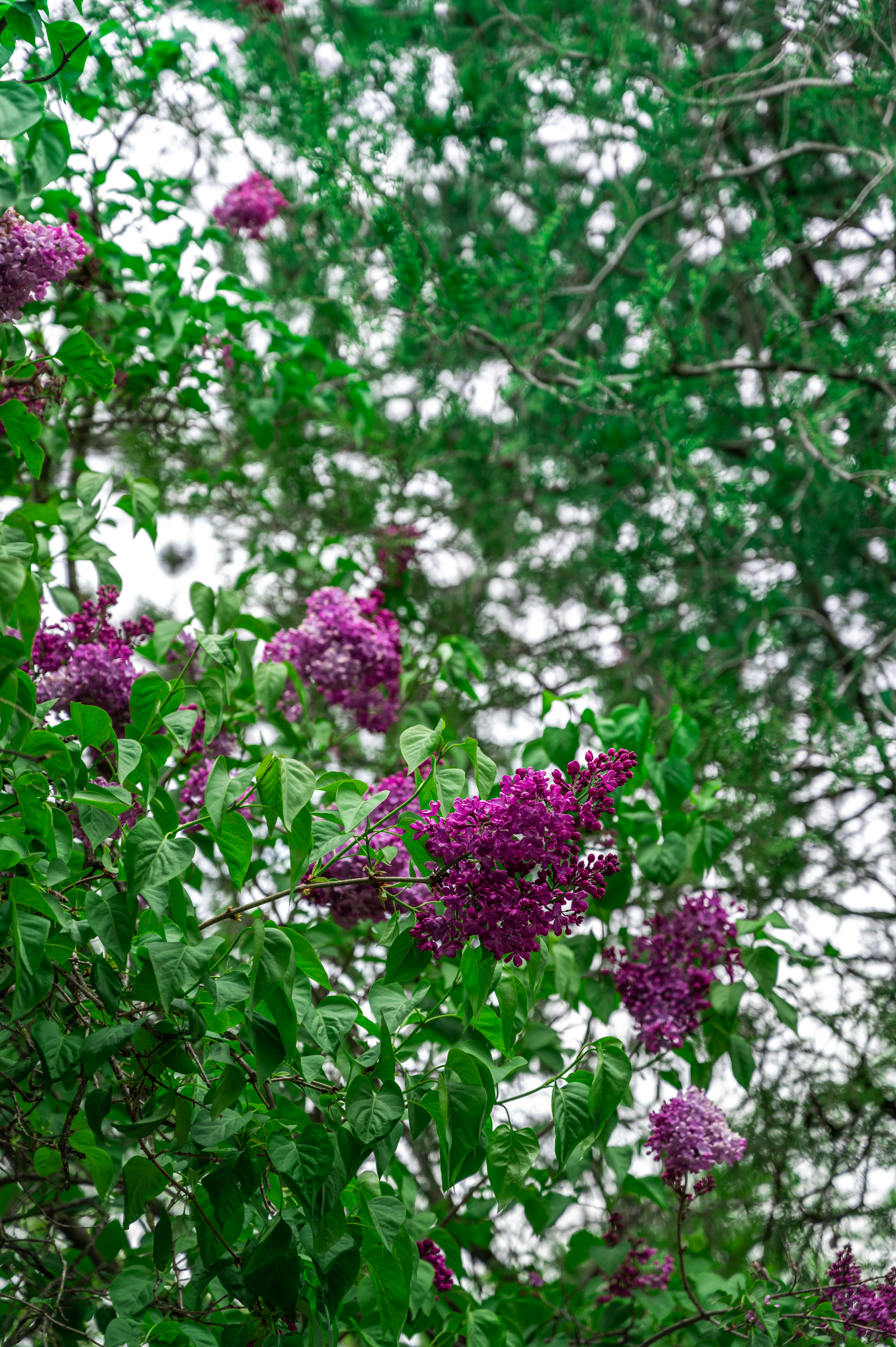 Photo by andreasbrun