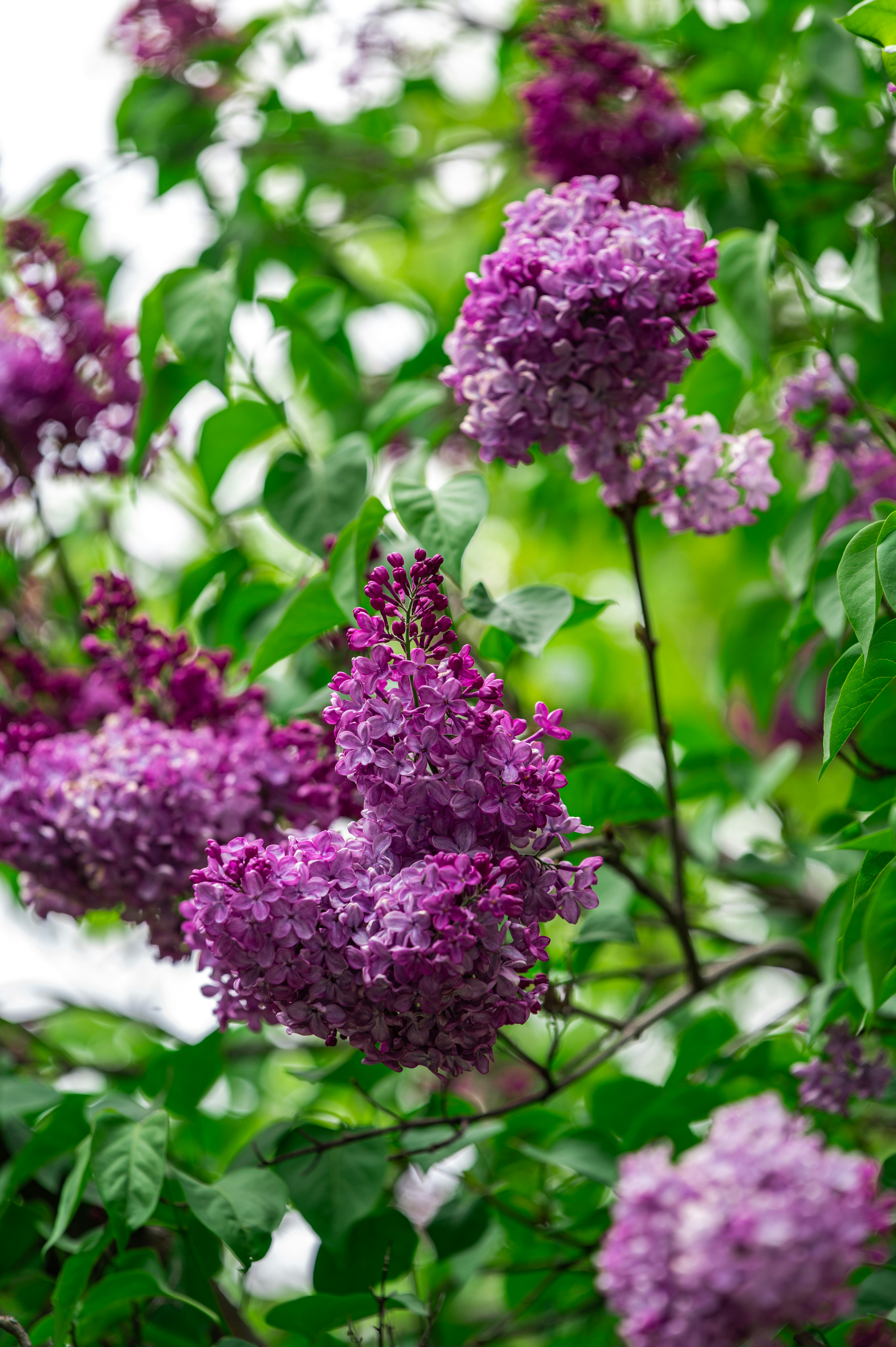 Photo by andreasbrun