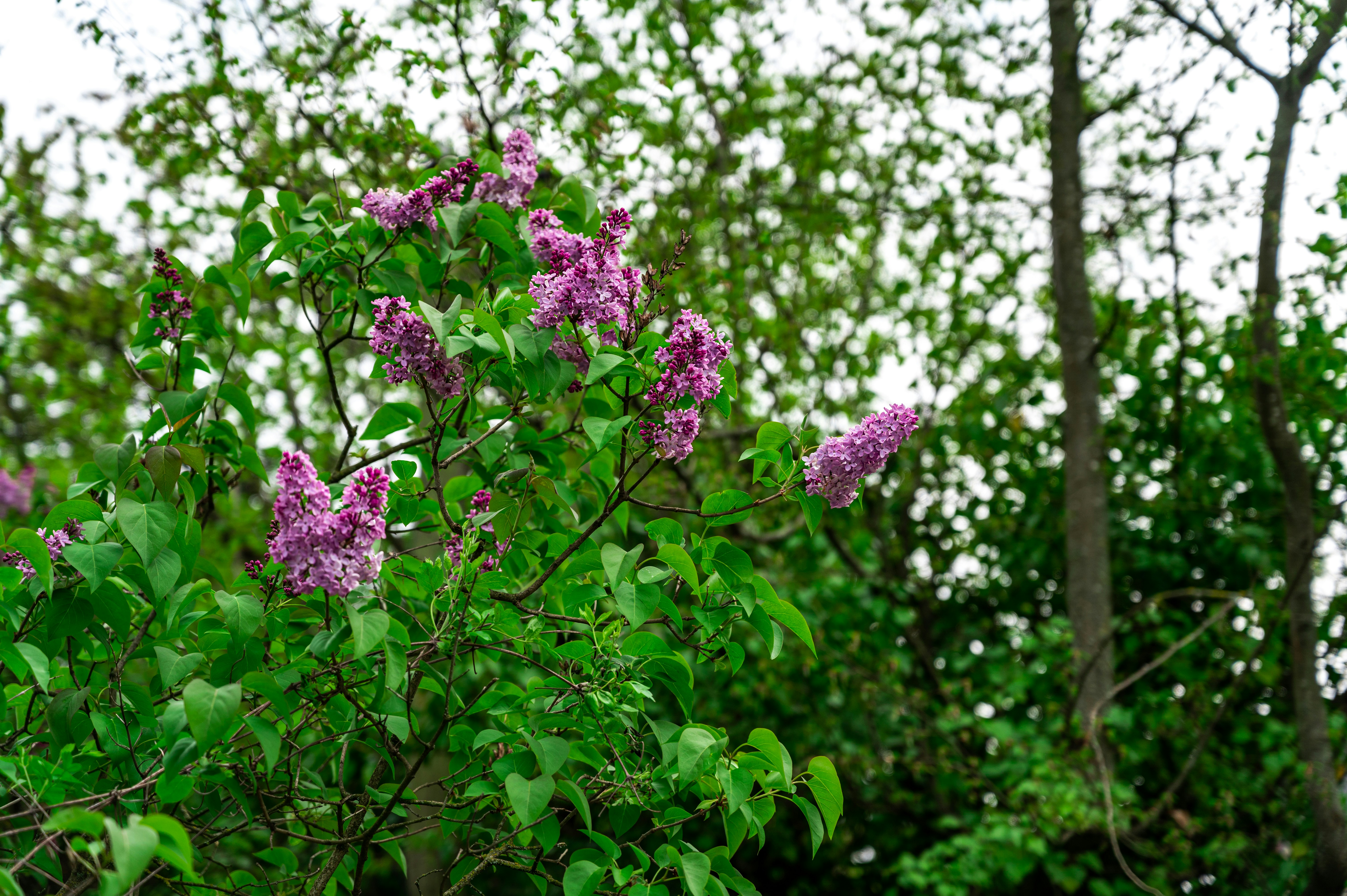 Photo by andreasbrun