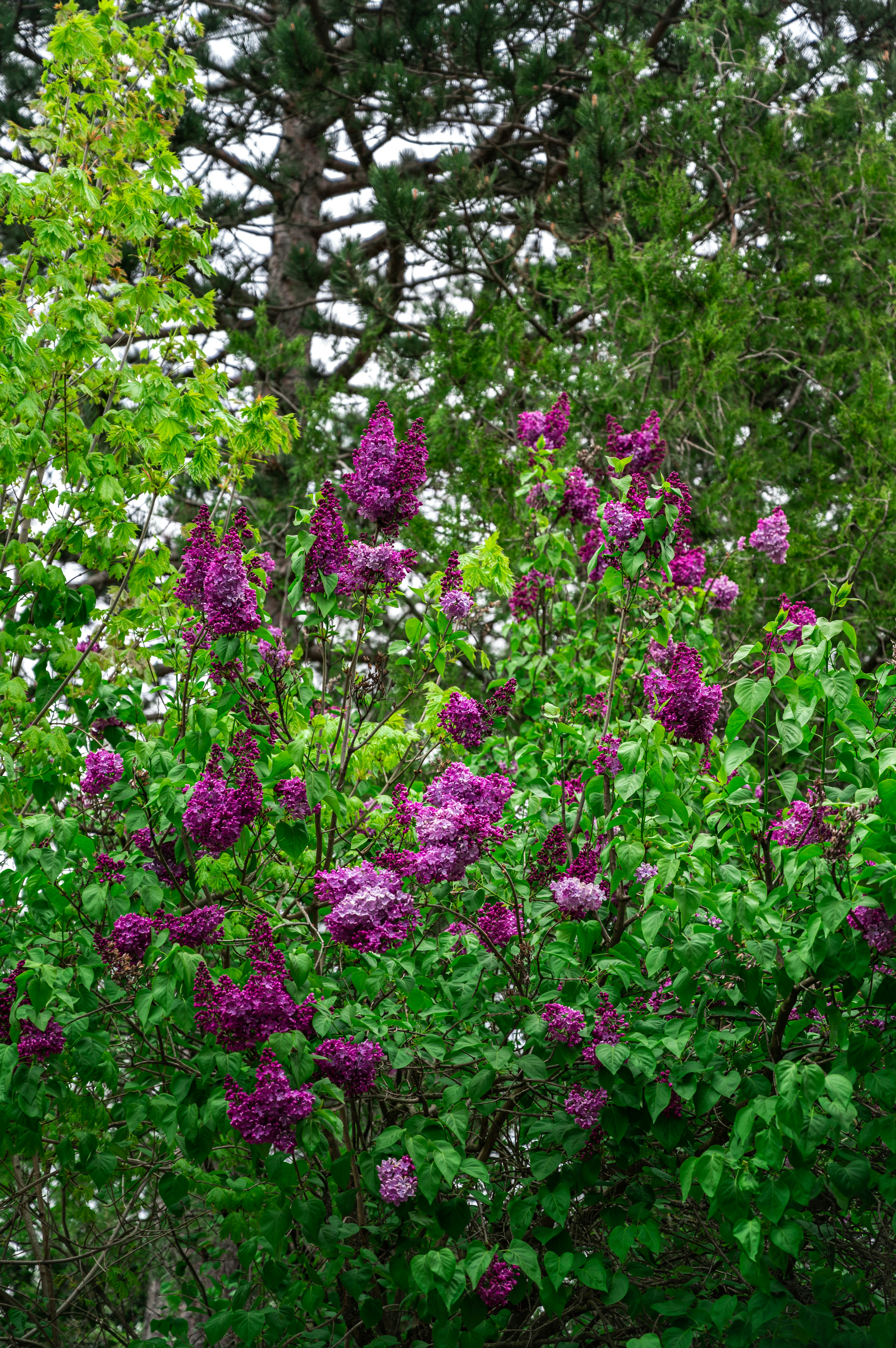 Photo by andreasbrun