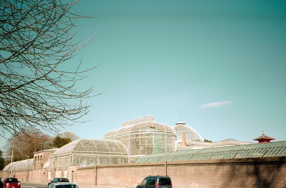 black car parked beside bare tree during daytime