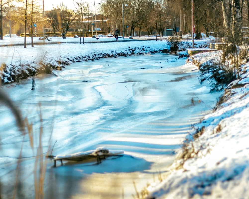 body of water between trees during daytime