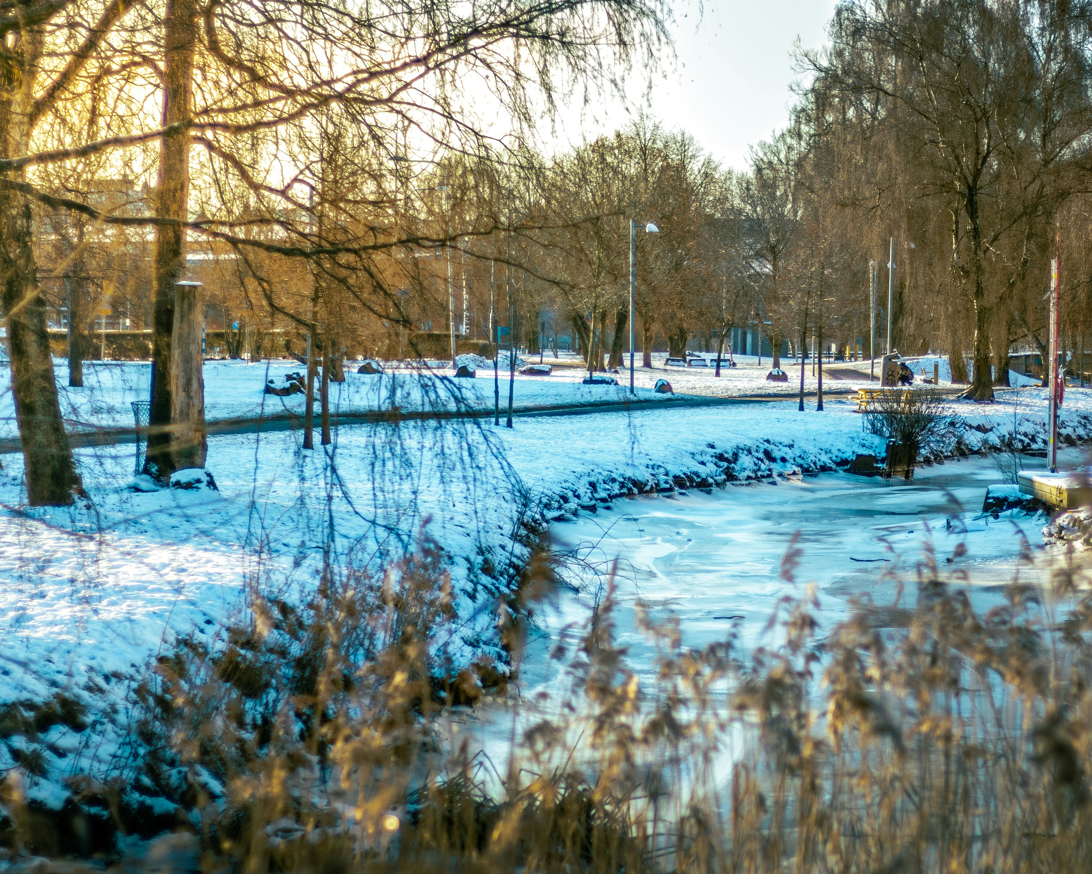 Photo by tarekbadrph