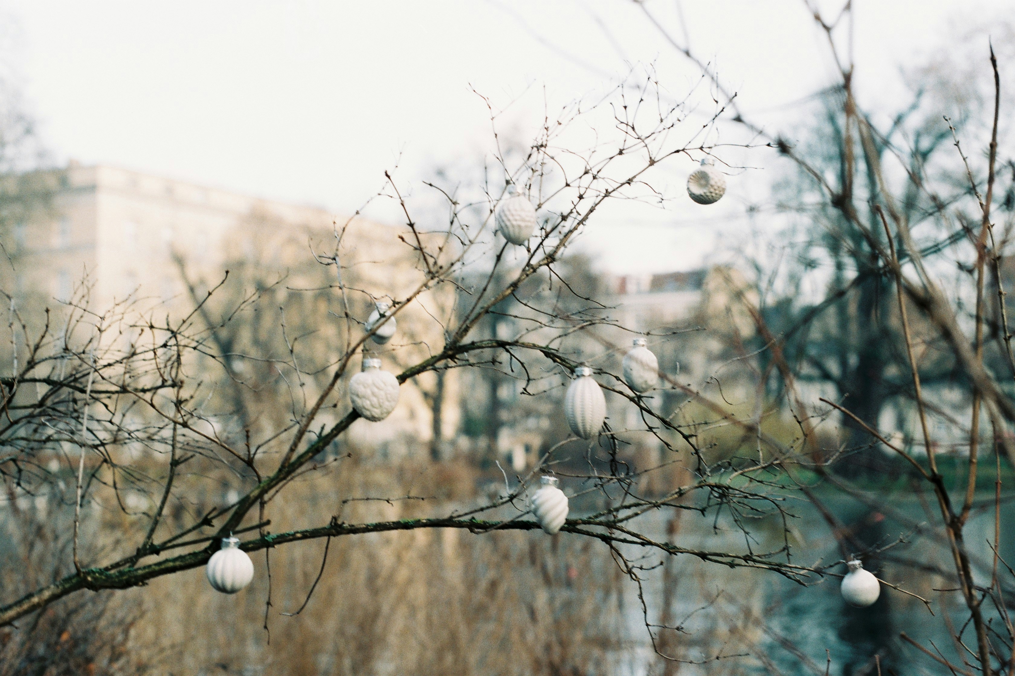 Photo by ana_semenko