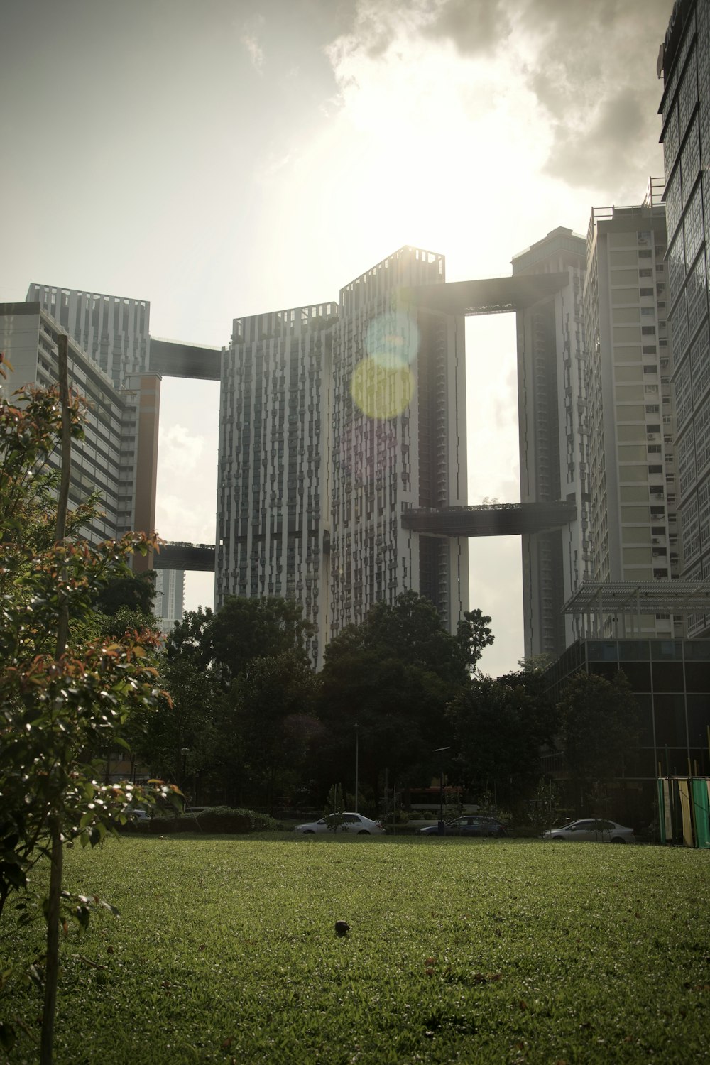 green grass field near high rise building during daytime