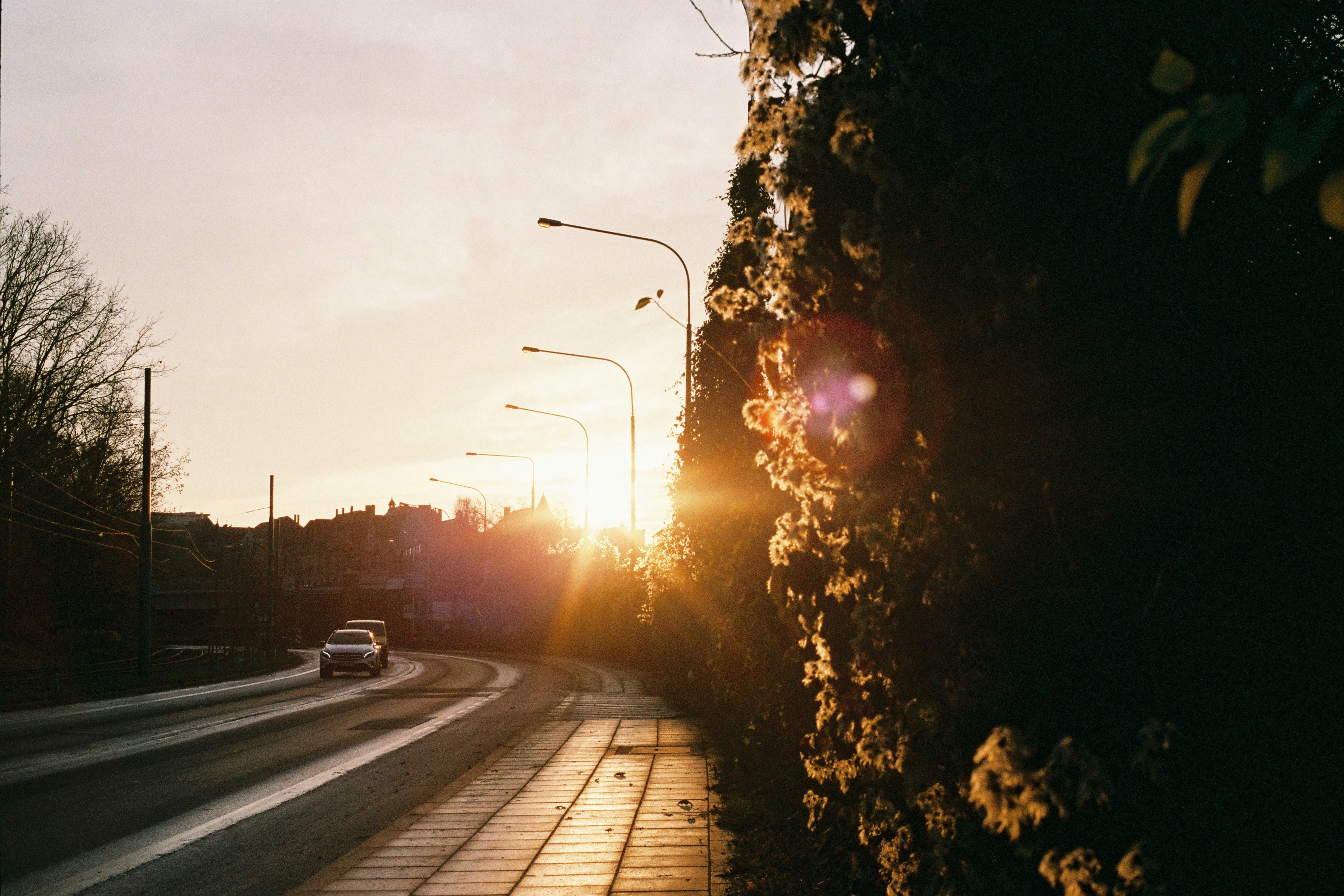 Photo by ana_semenko