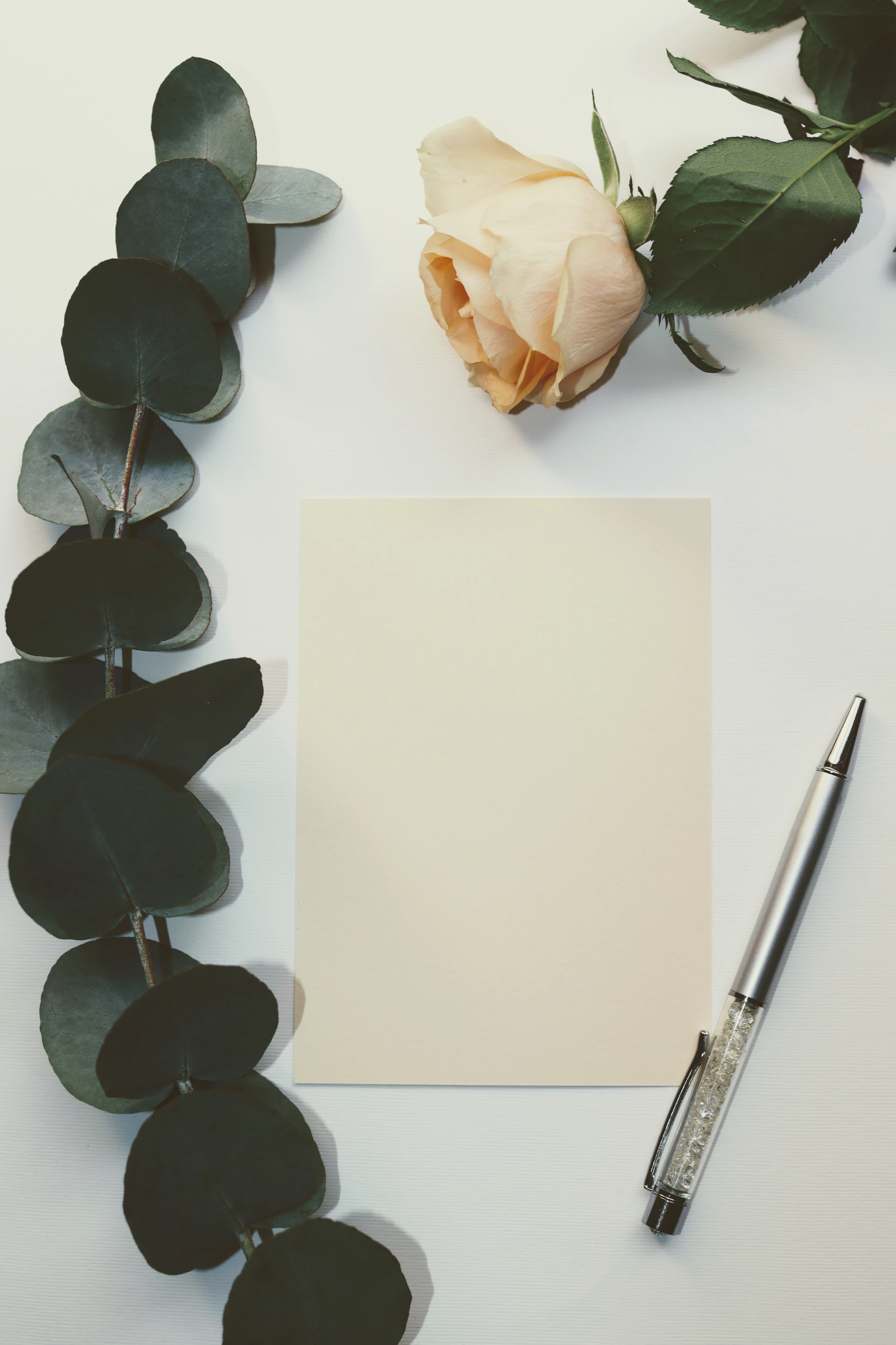 black sunglasses beside white click pen