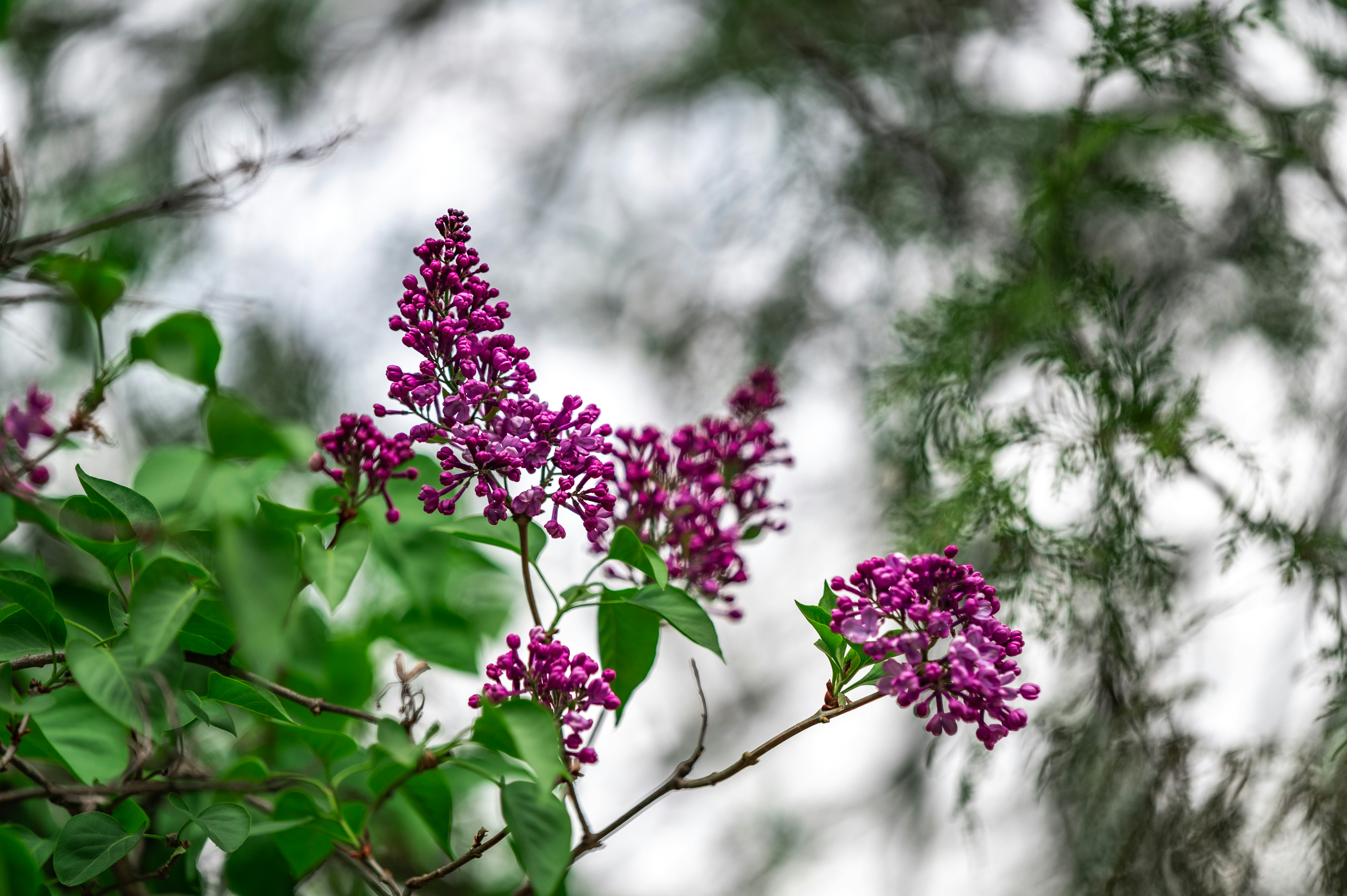 Photo by andreasbrun