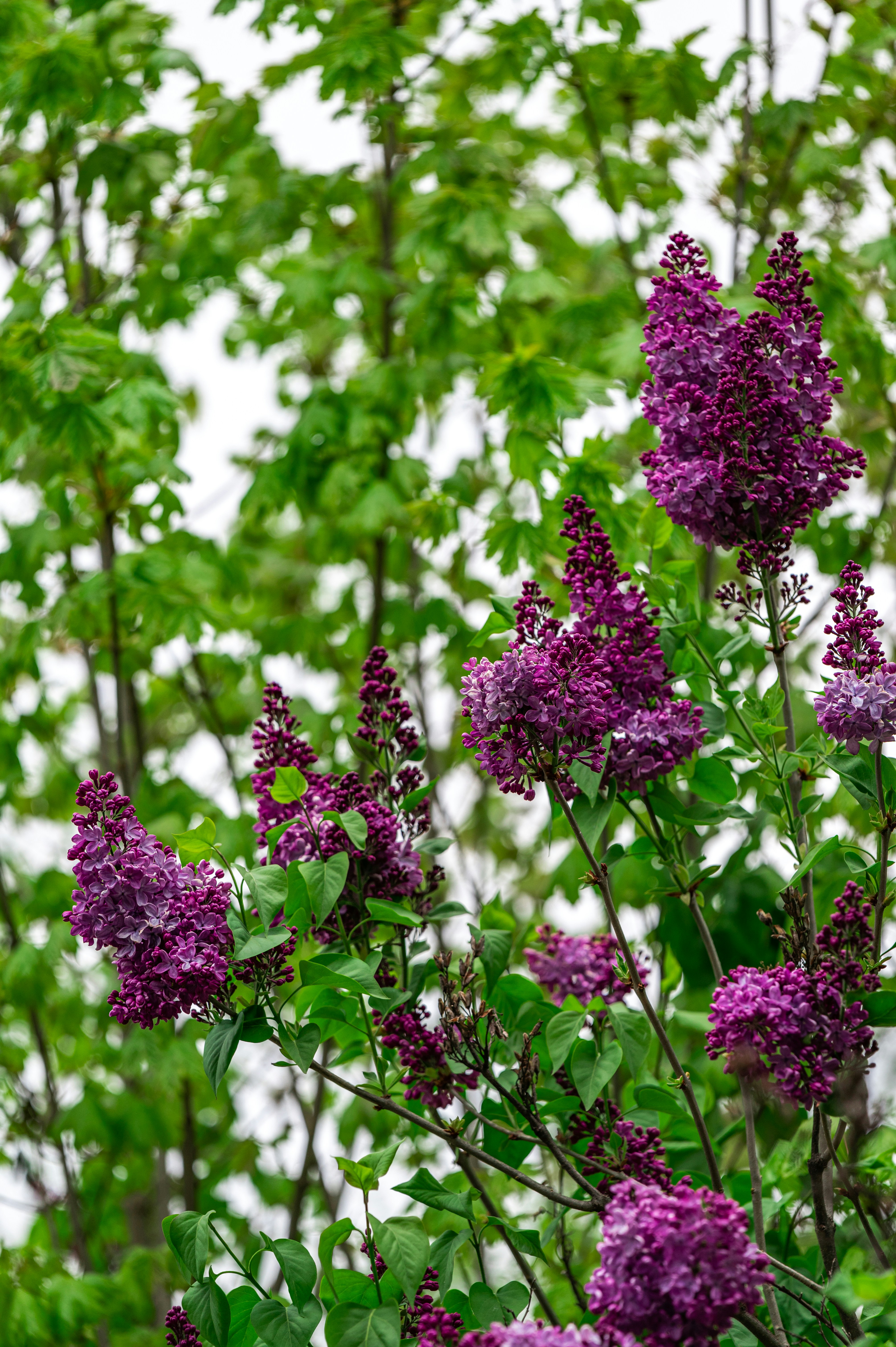 Photo by andreasbrun