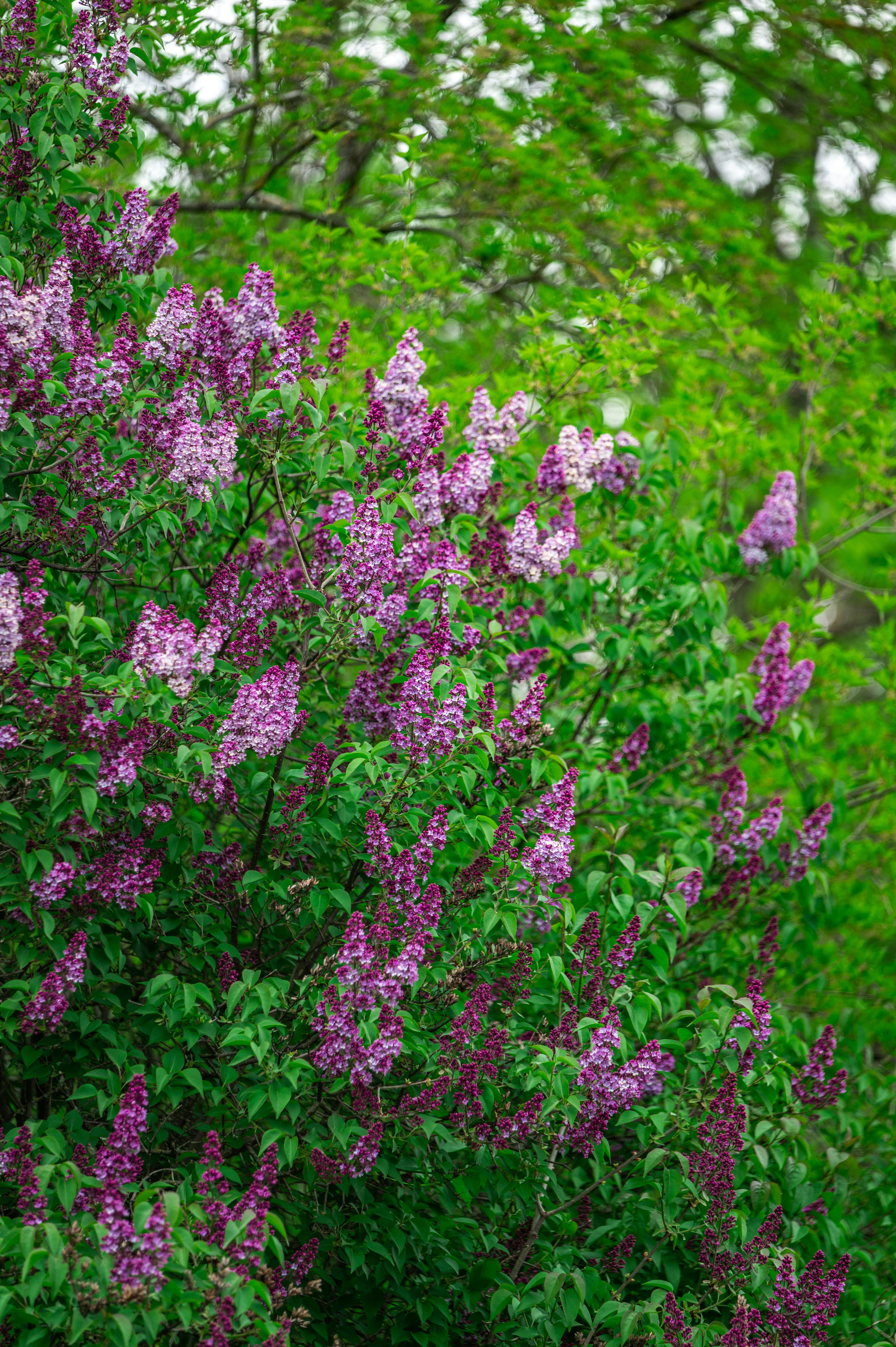 Photo by andreasbrun