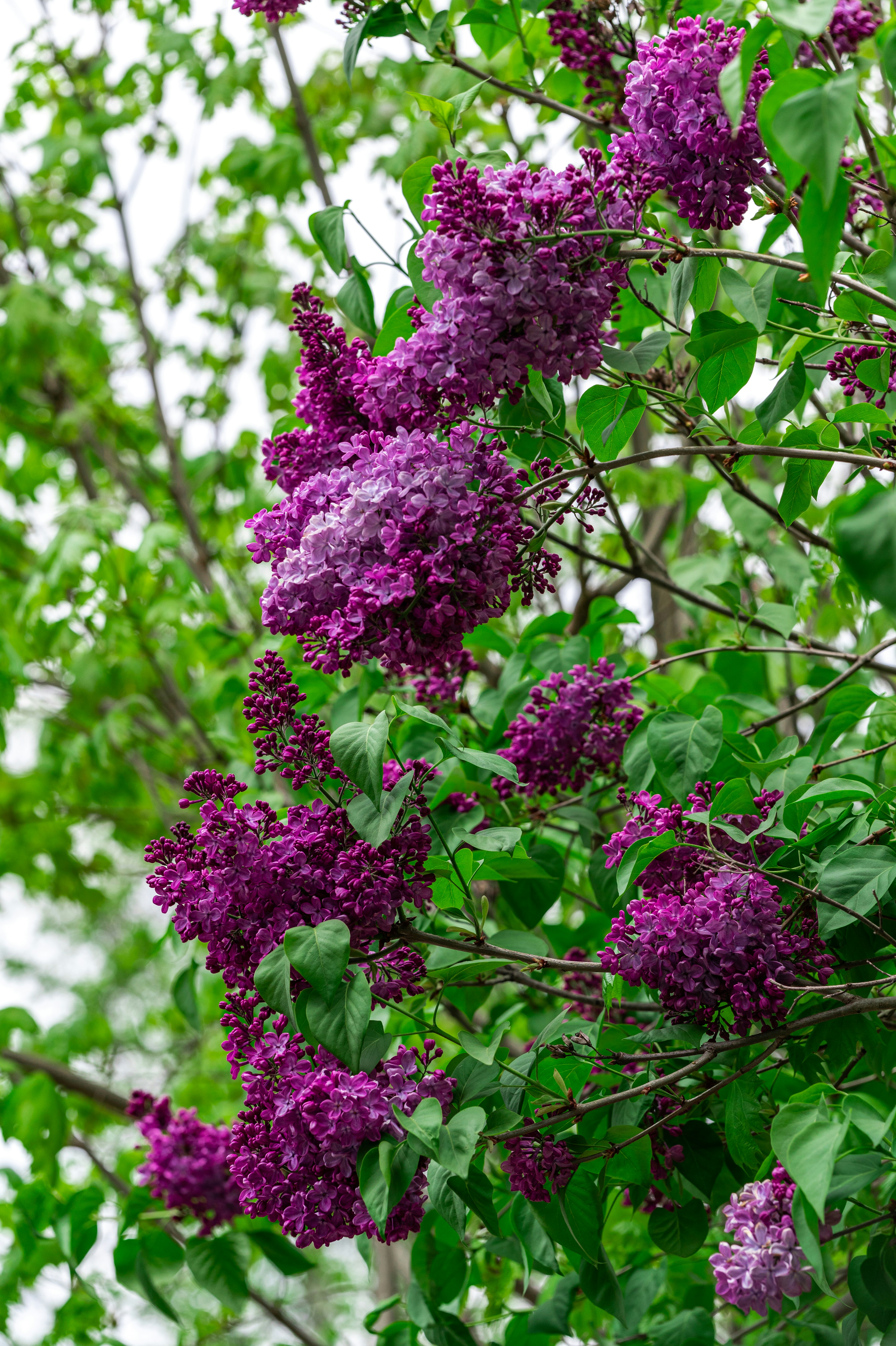 Photo by andreasbrun