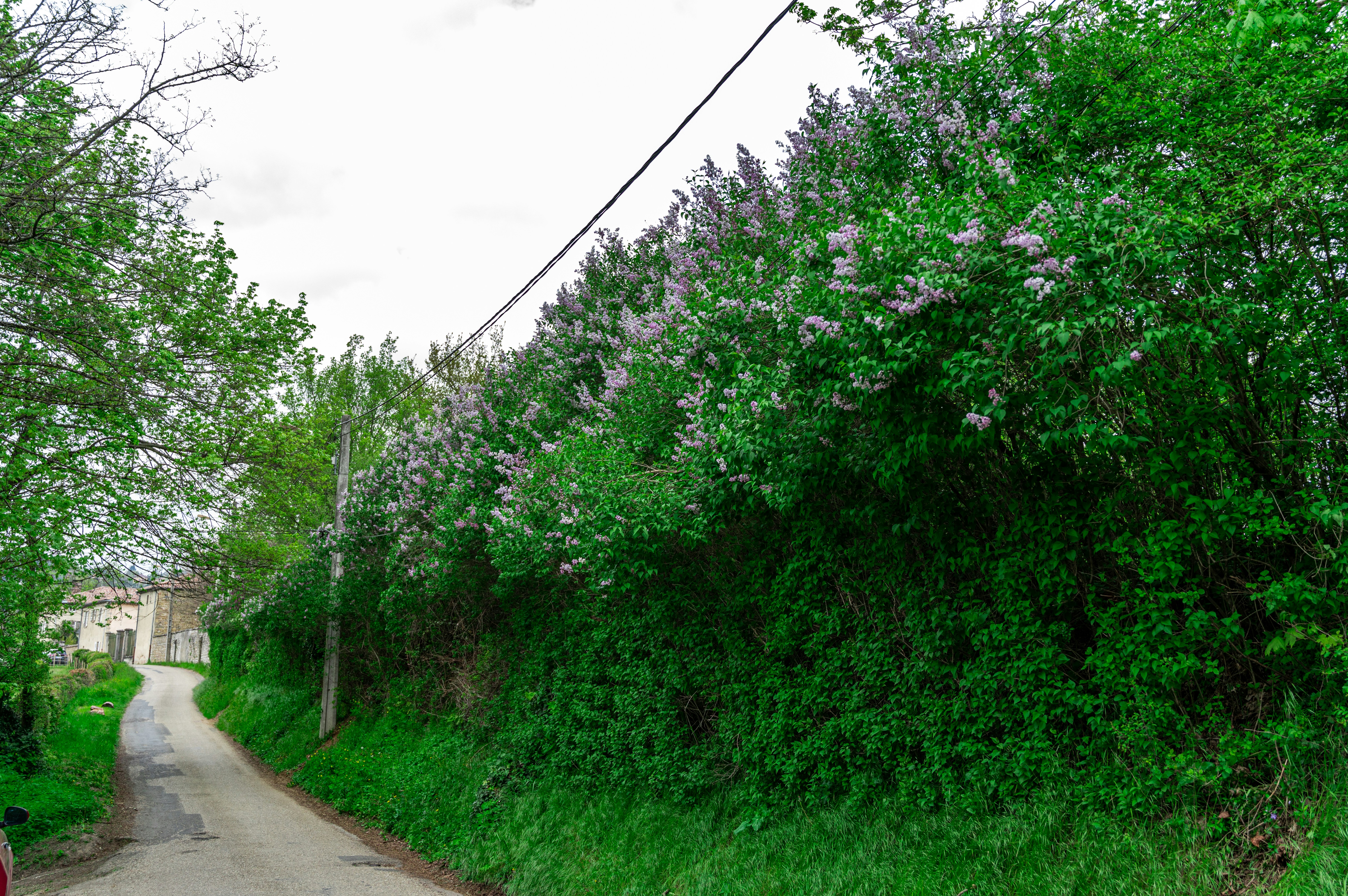 Photo by andreasbrun