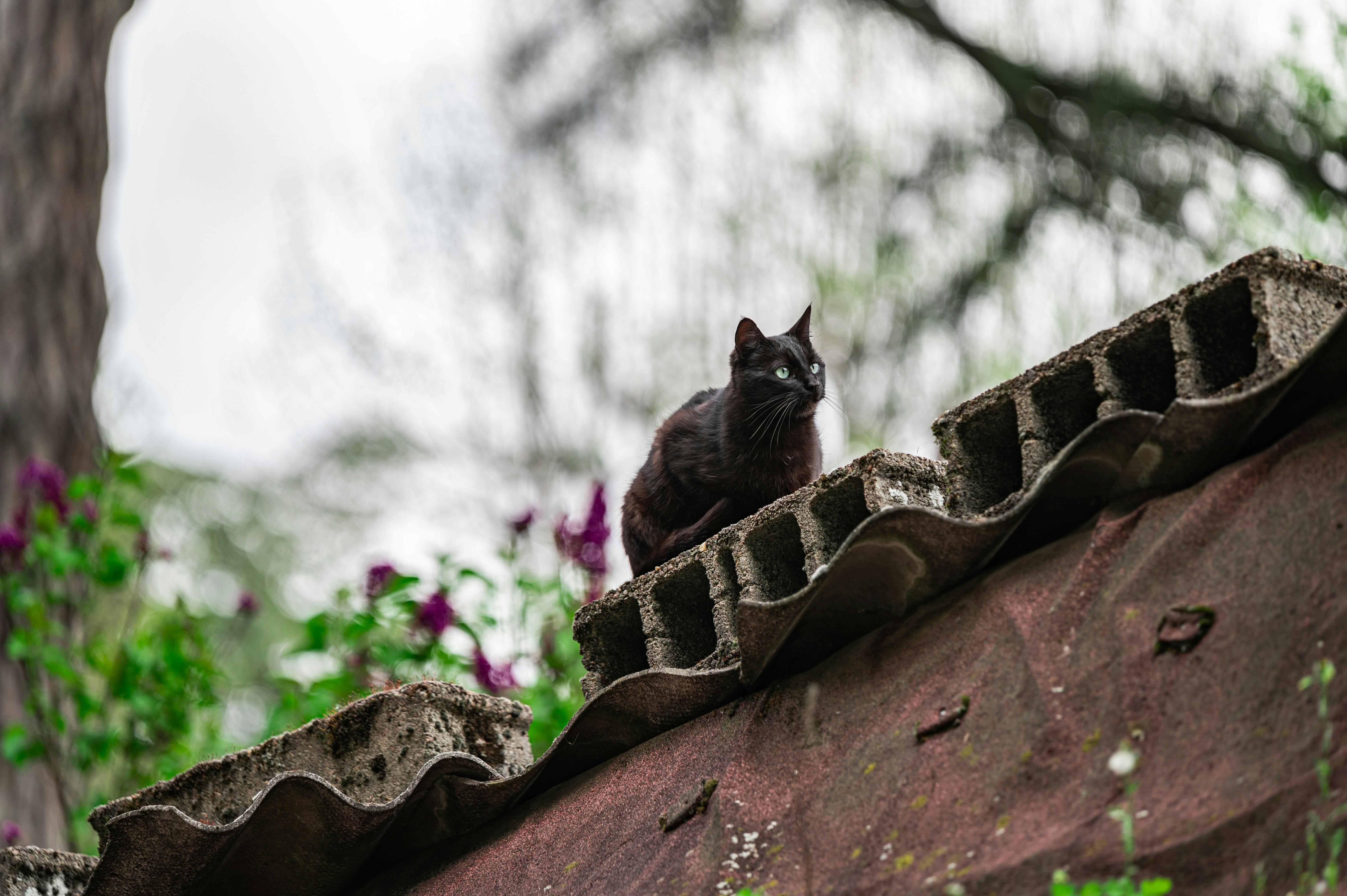 Photo by andreasbrun