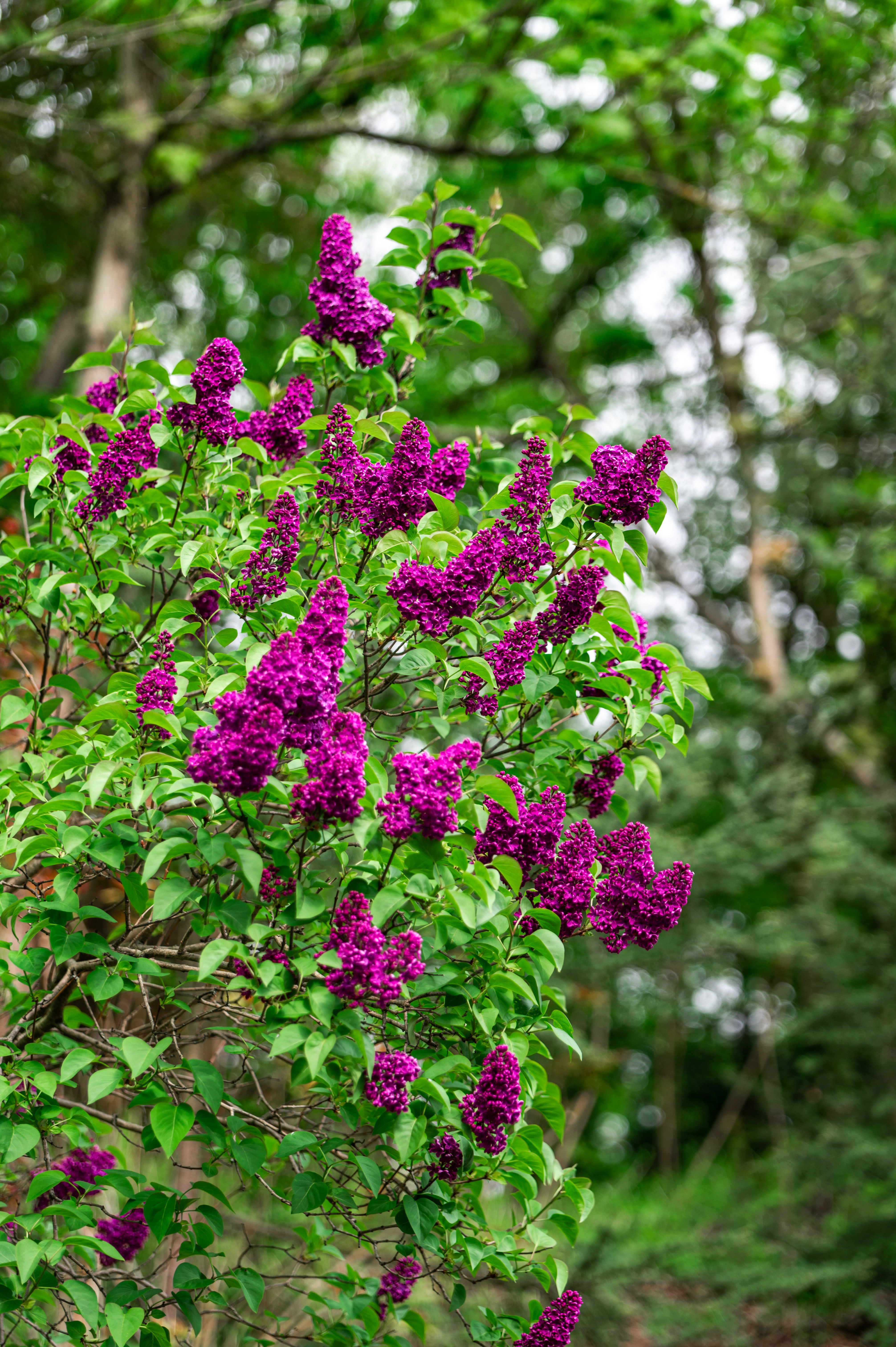 Photo by andreasbrun