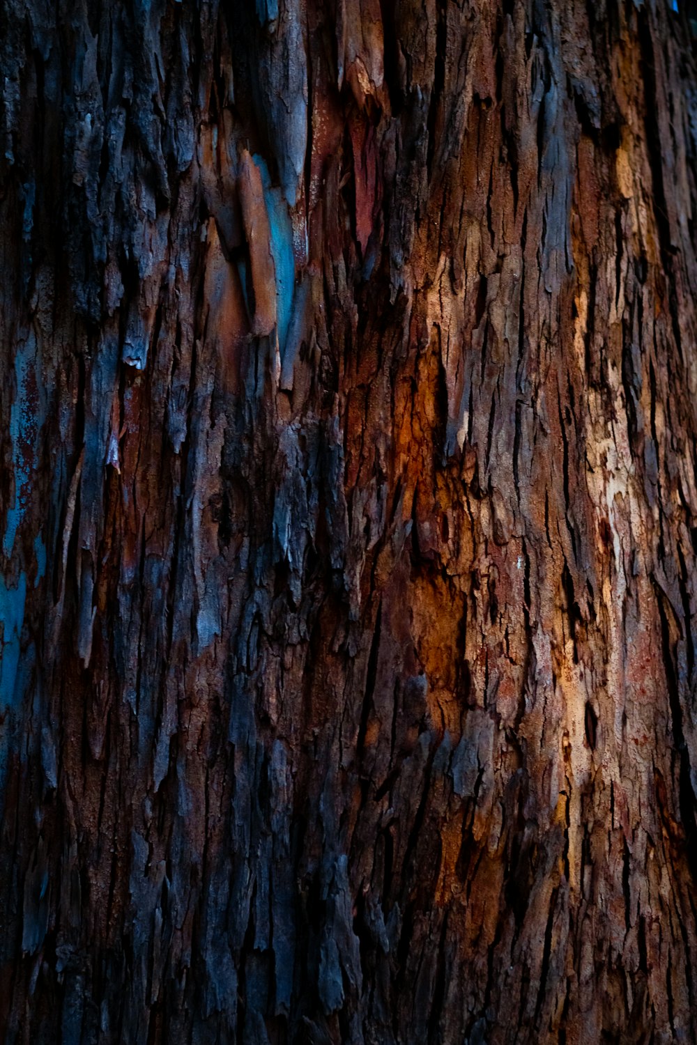 Tronco de árbol marrón durante el día