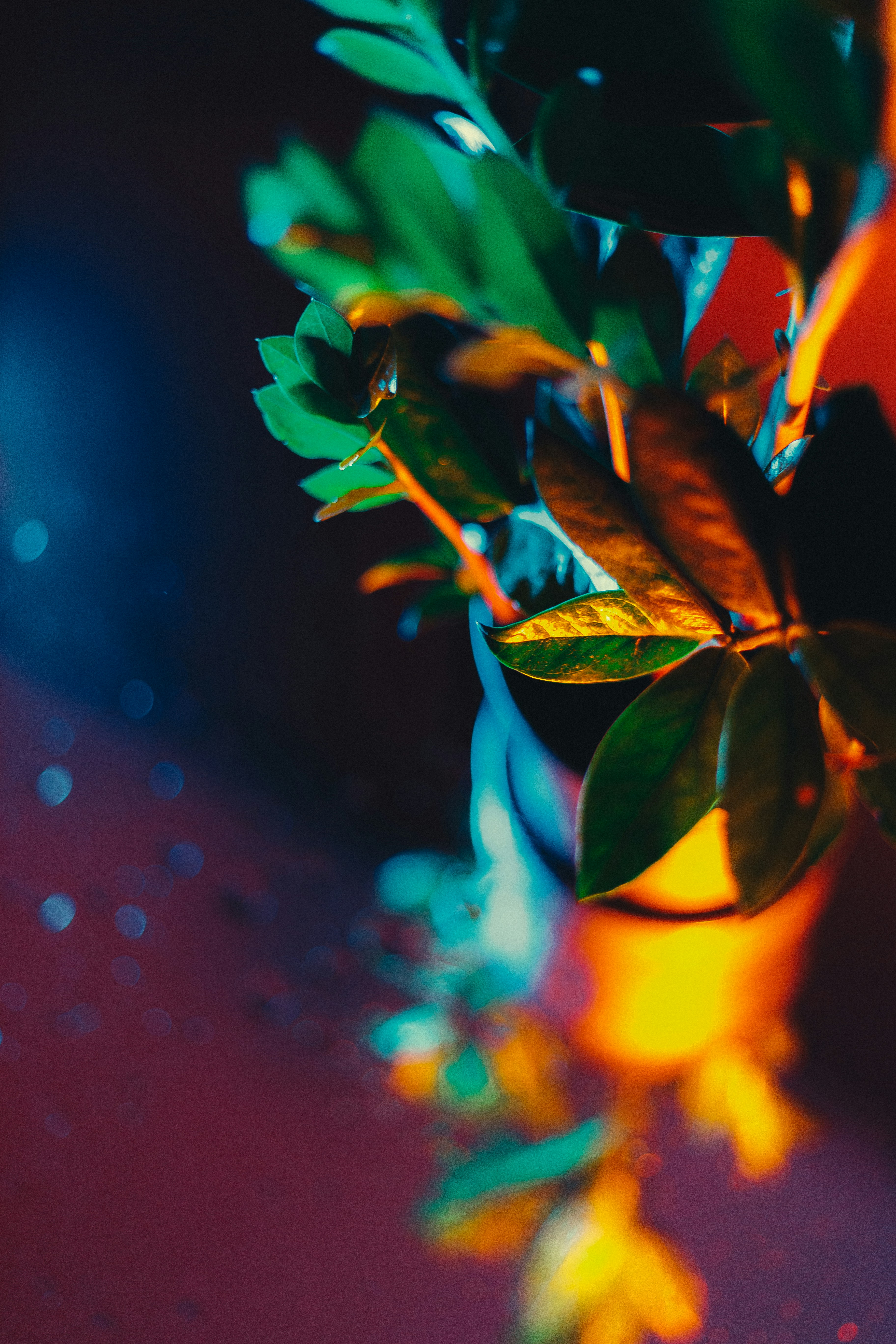 Photo by tobolenkoph