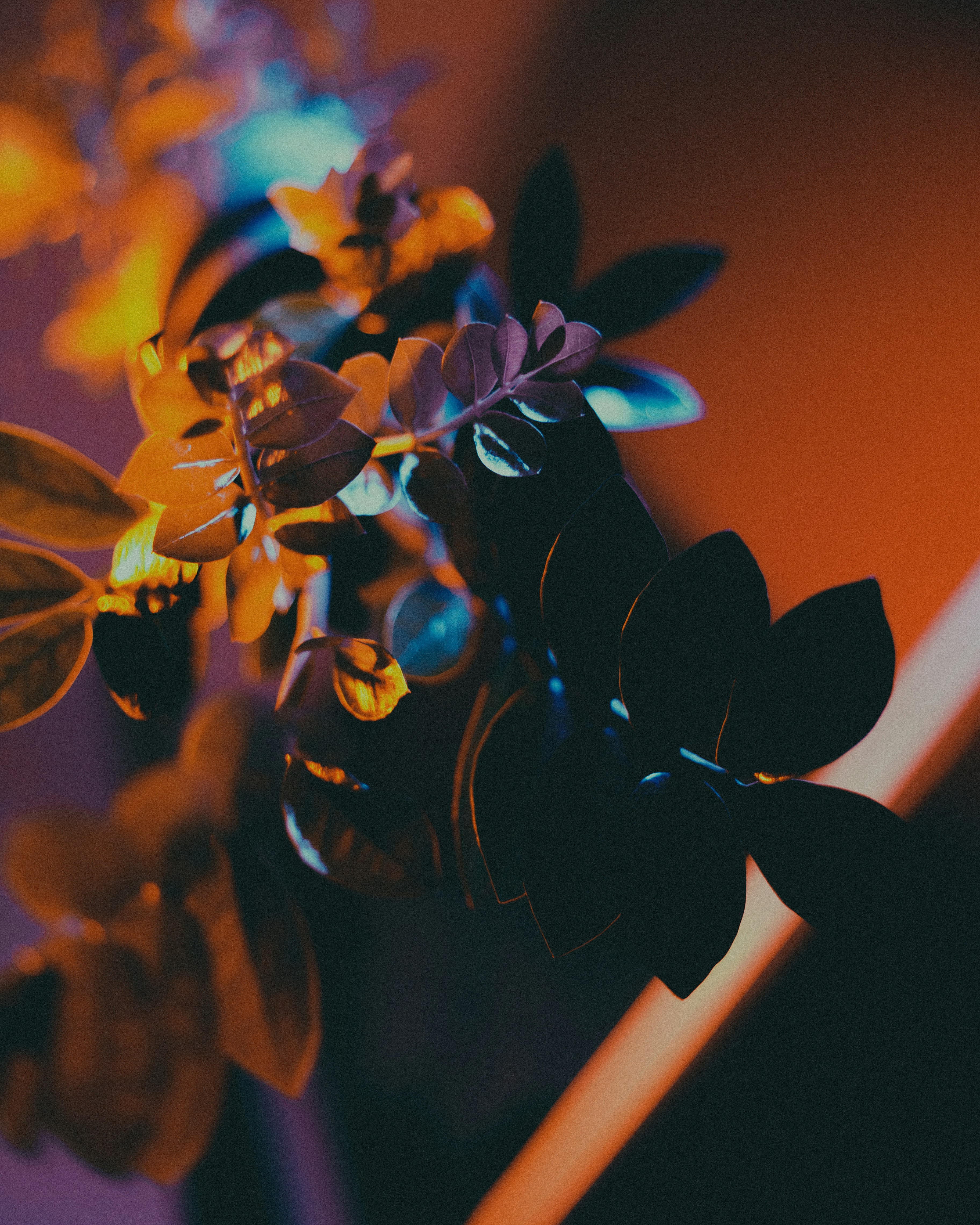 Photo by tobolenkoph